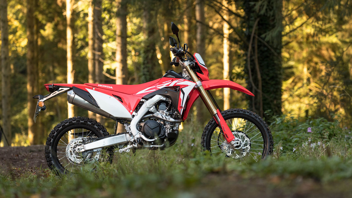 ESPECIAL MOTO VERDE!