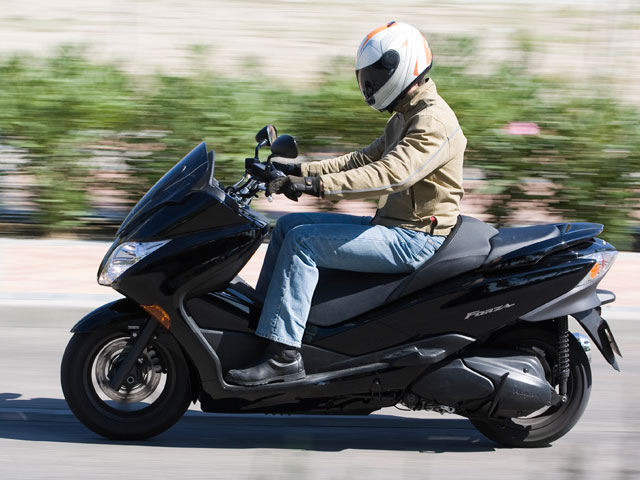 Honda jazz forza 250