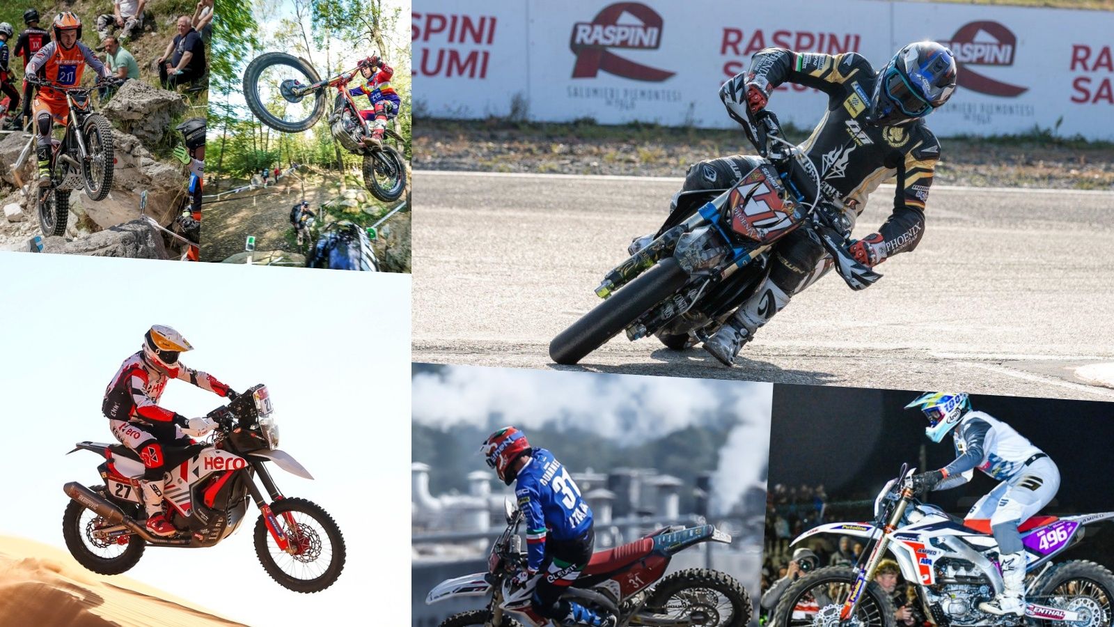 Marc Reiner Schmidt ha sido campeón con TM Racing, Joaquim Rodrigues ha brillado con Hero y Scorpa y Fantic también han tenido protagonismo en 2021