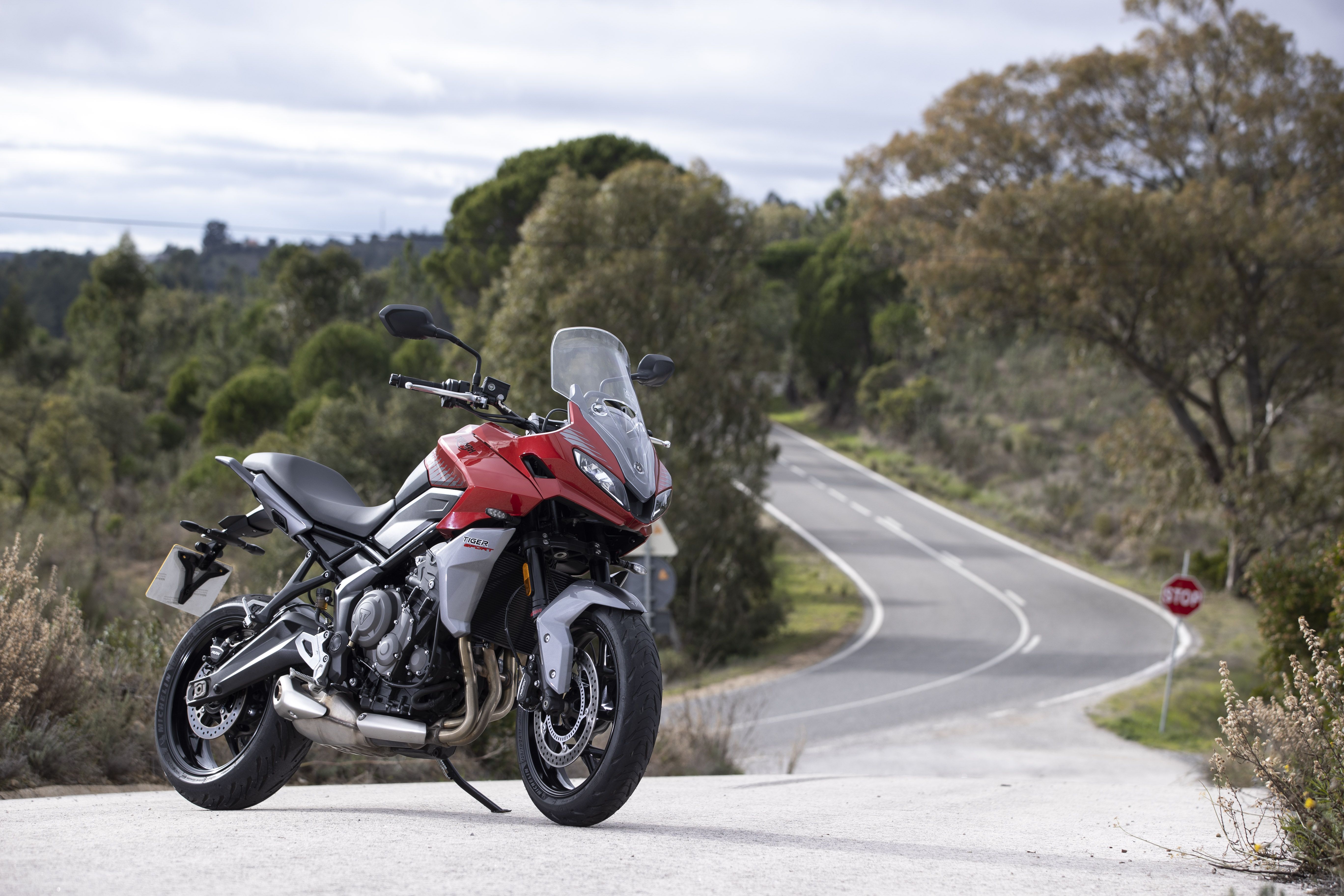 Triumph Tiger Sport 660 Statics 020