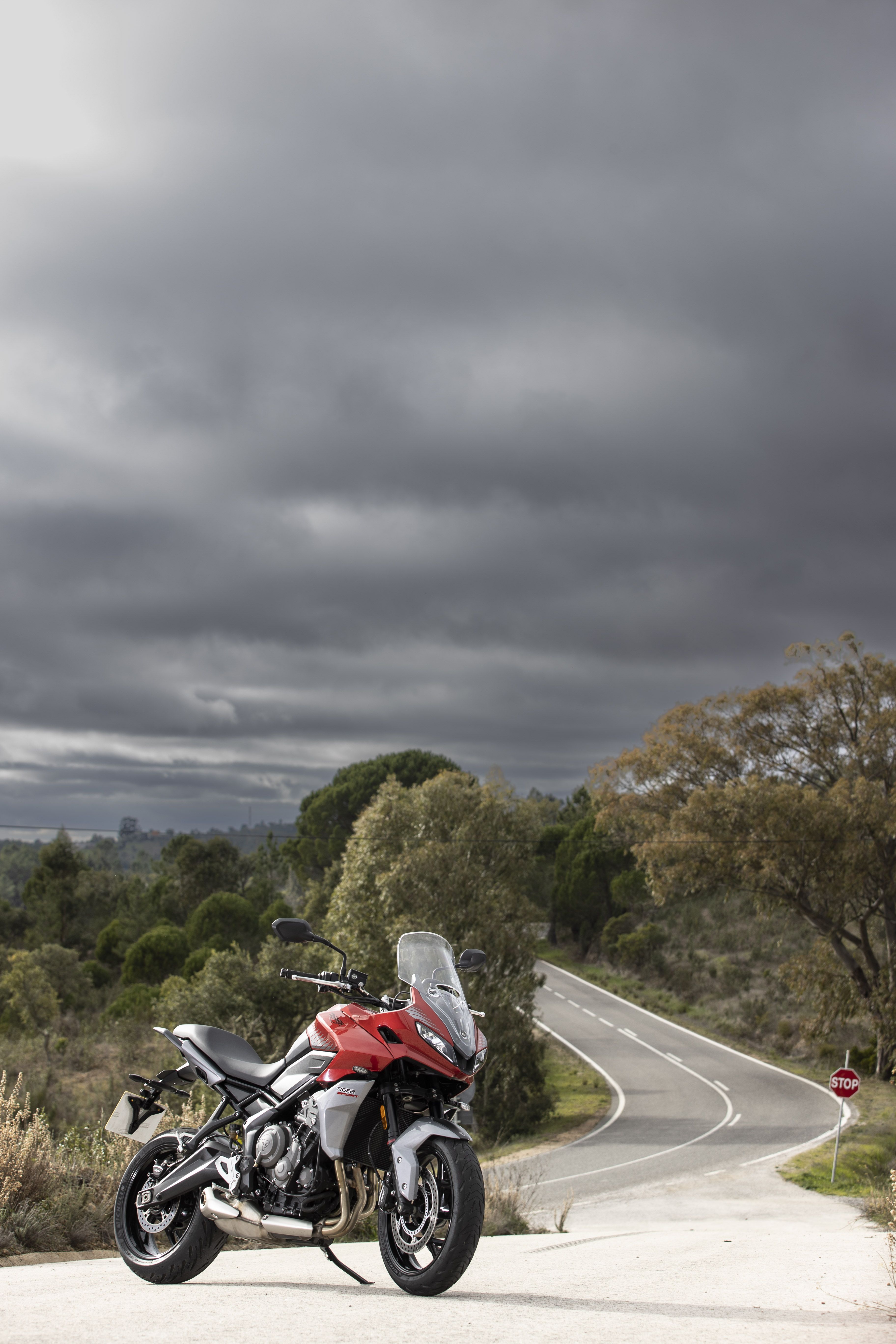 Triumph Tiger Sport 660 Statics 021