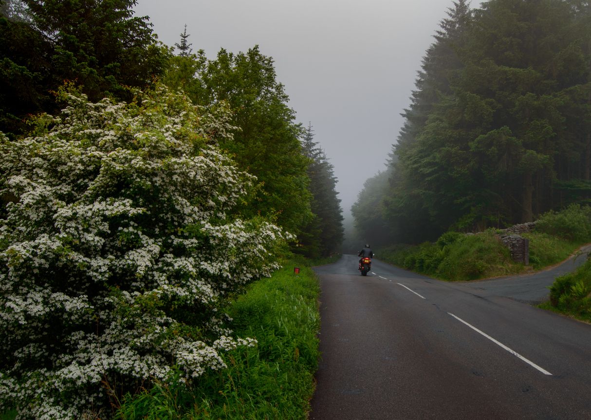 Una de las carreteras por las que transcurre el TT de la Isla de Man. Fuente: iStock/Roelf Odendaal