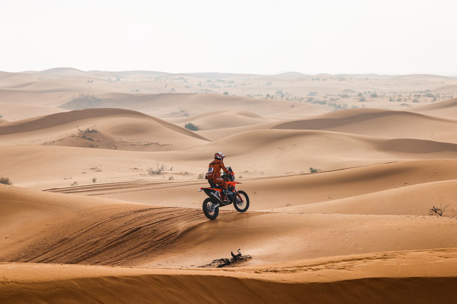 Etapa 2 Dakar 2022   Danilo Petrucci