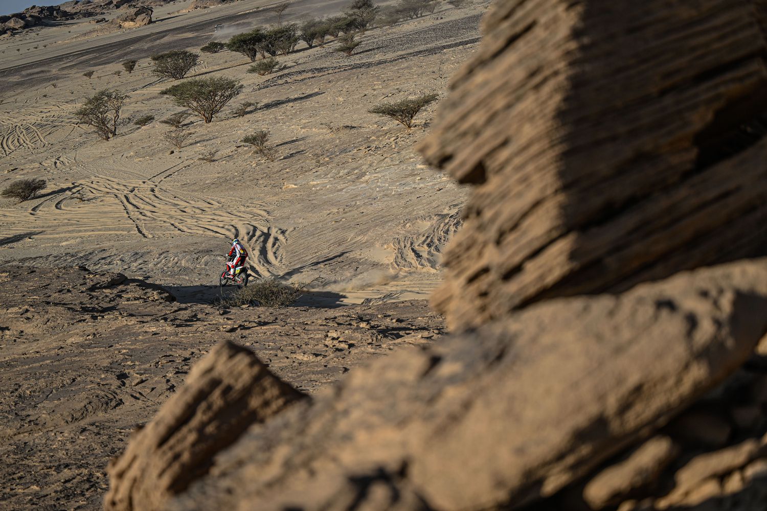 Etapa 10 Dakar 2022   Joaquim Rodrigues