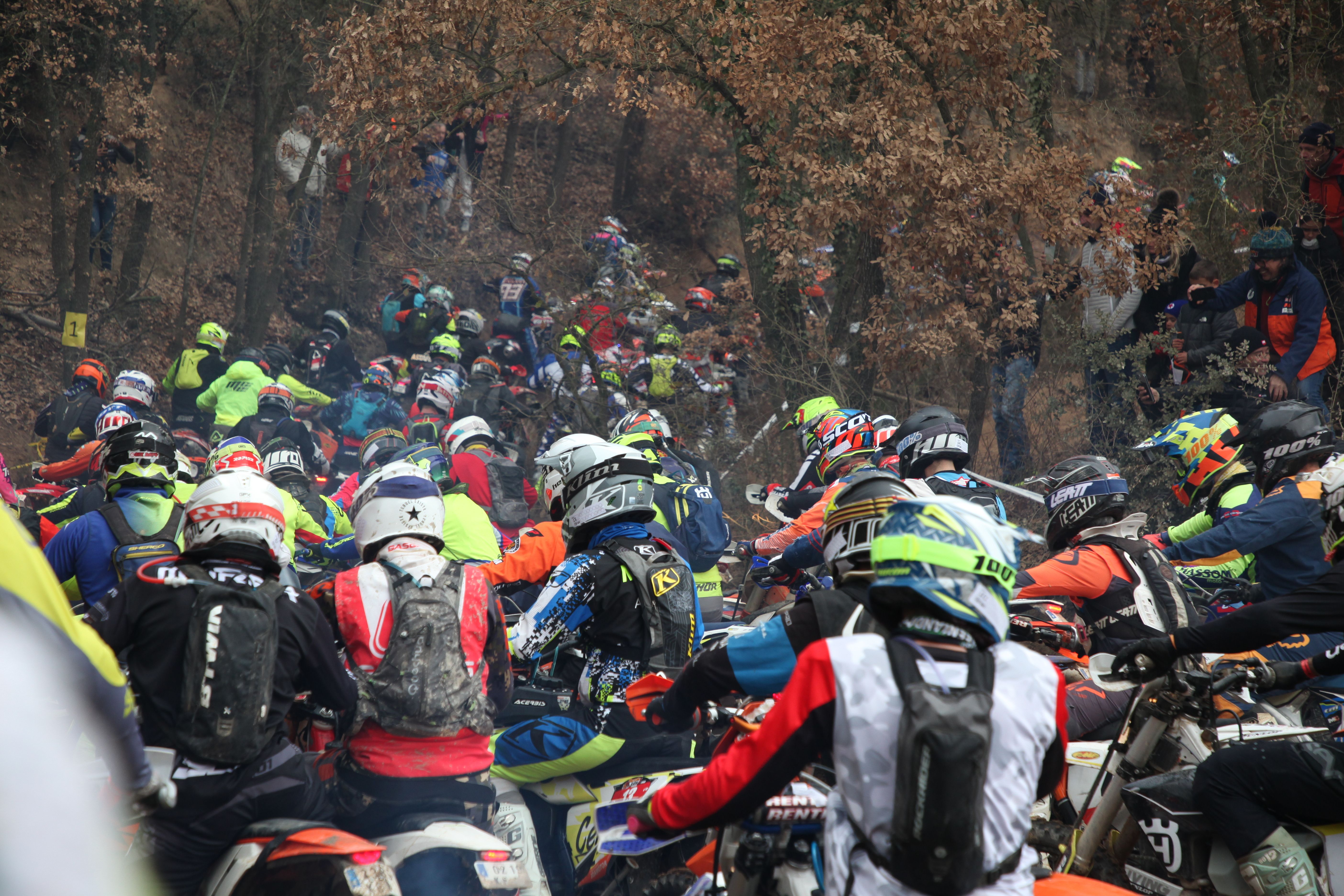 Bassella Race1 2022