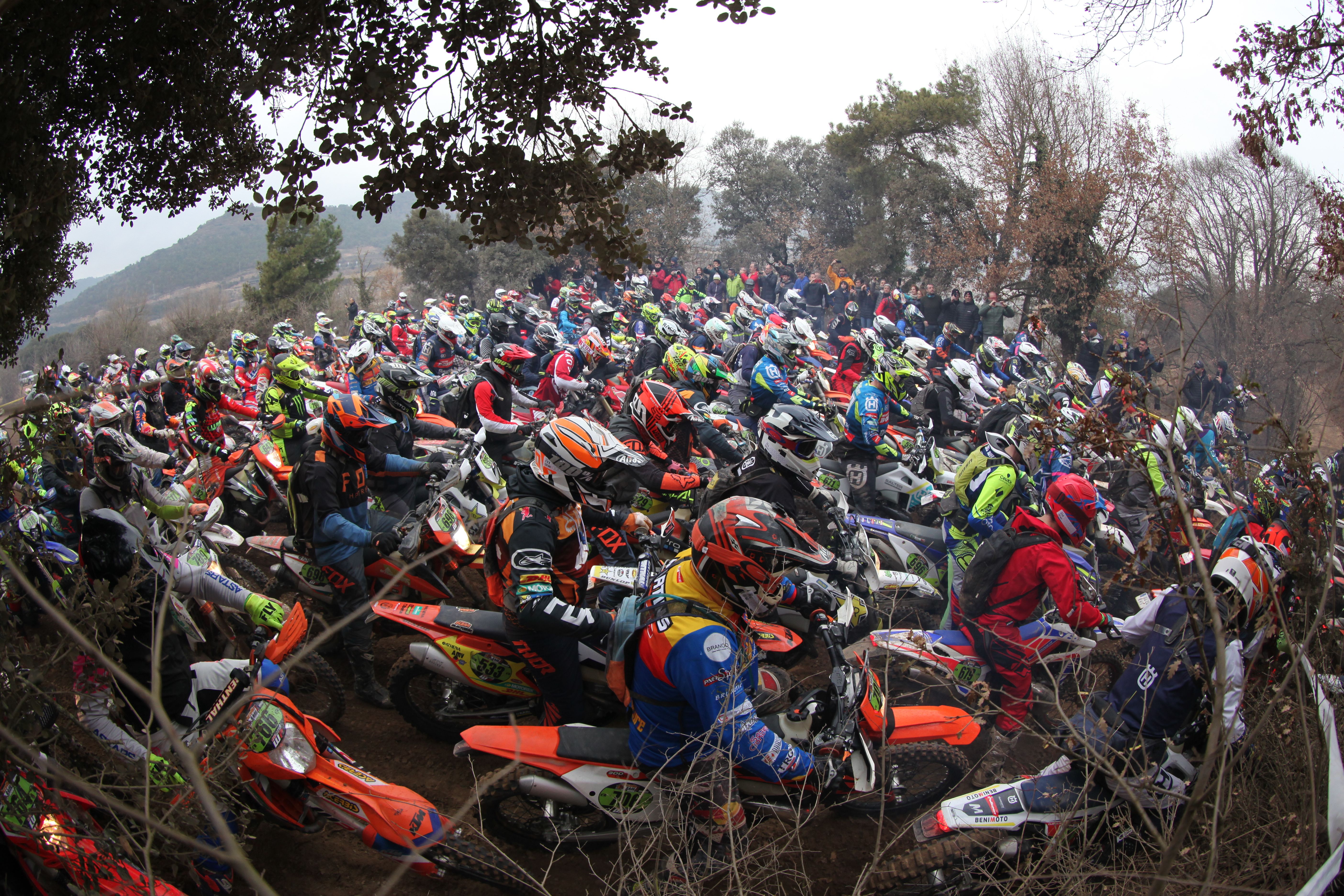 Bassella Race1 2022