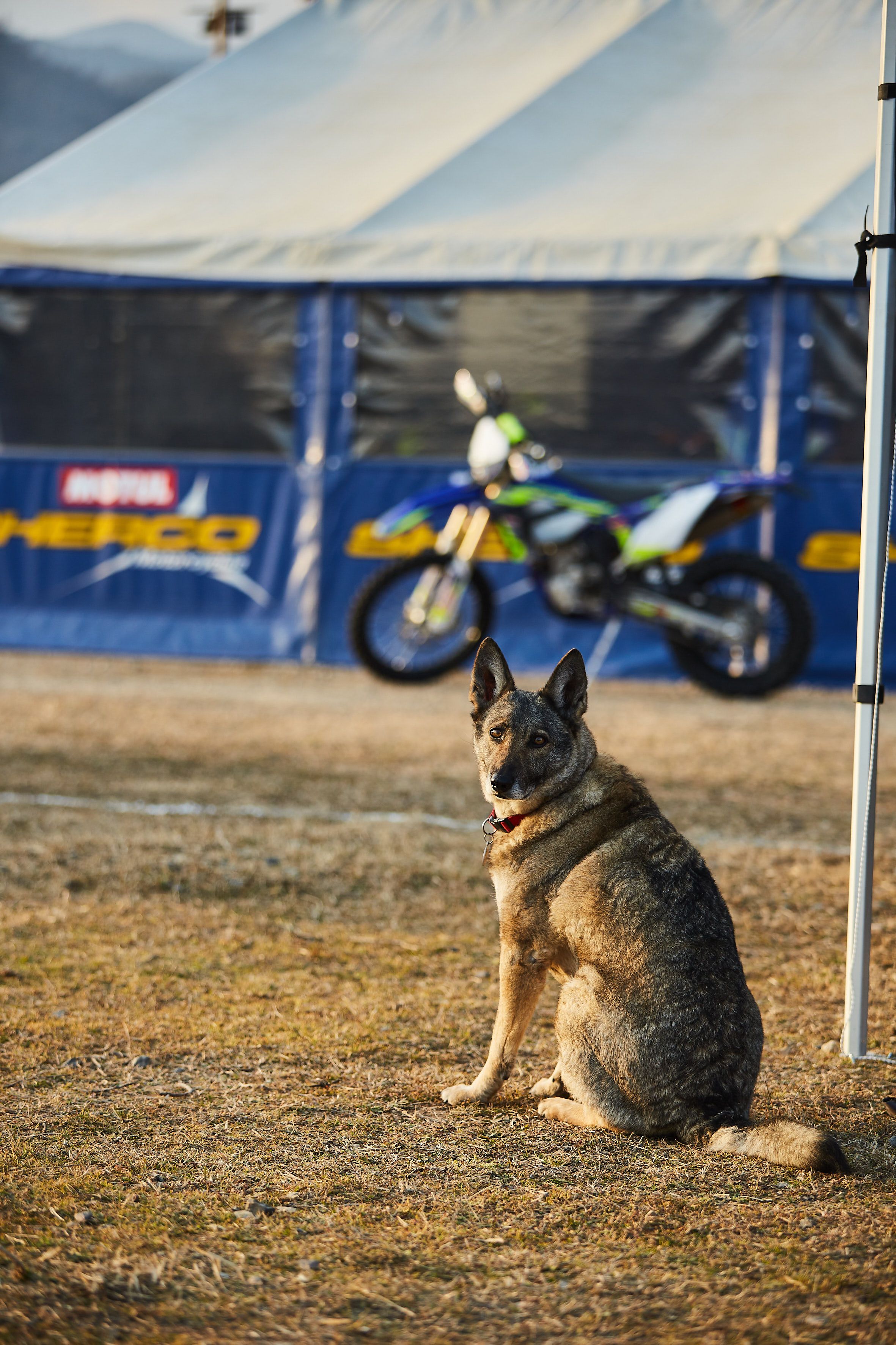 Bassella Race1 2022