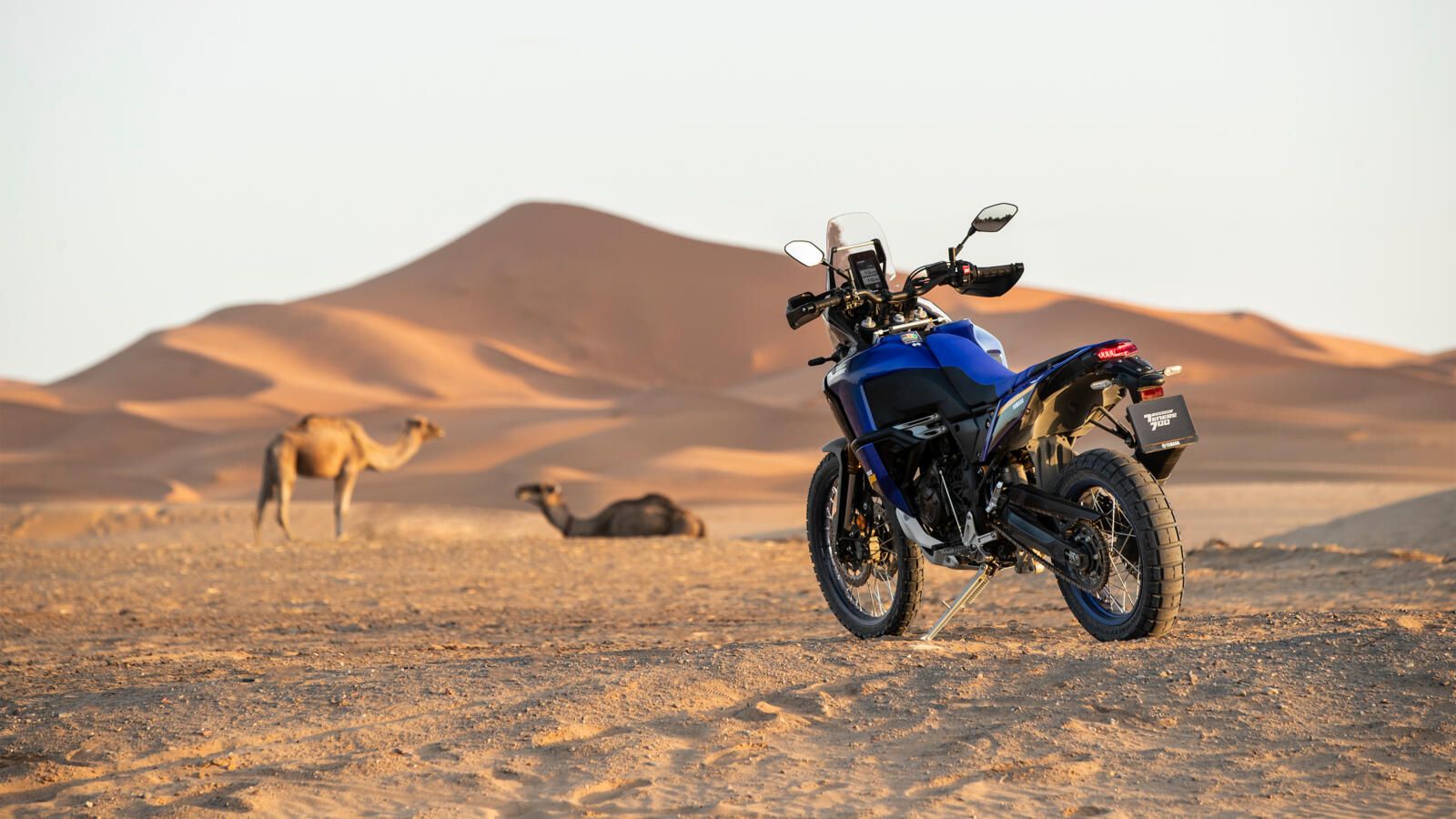 Yamaha Ténéré 700 World Raid