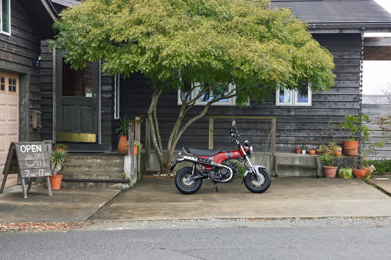 364488 23YM HONDA ST125 DAX