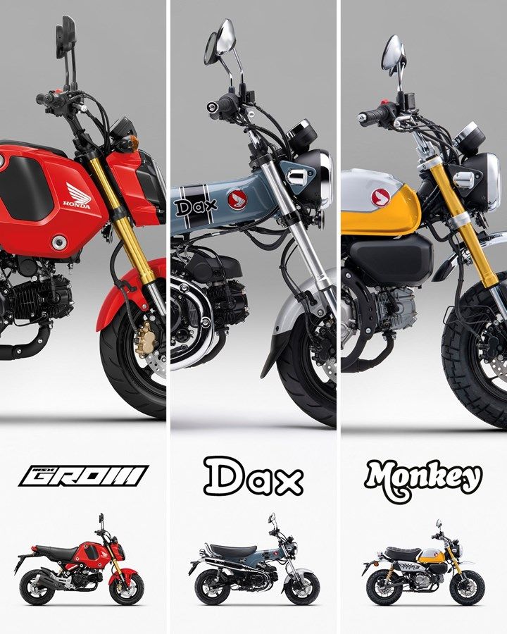 364512 23YM HONDA ST125 DAX