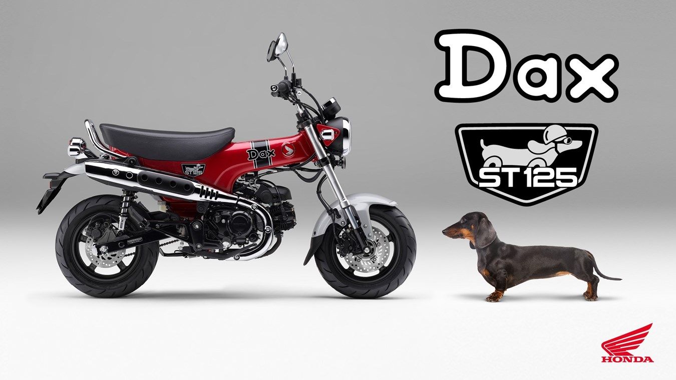 364510 23YM HONDA ST125 DAX