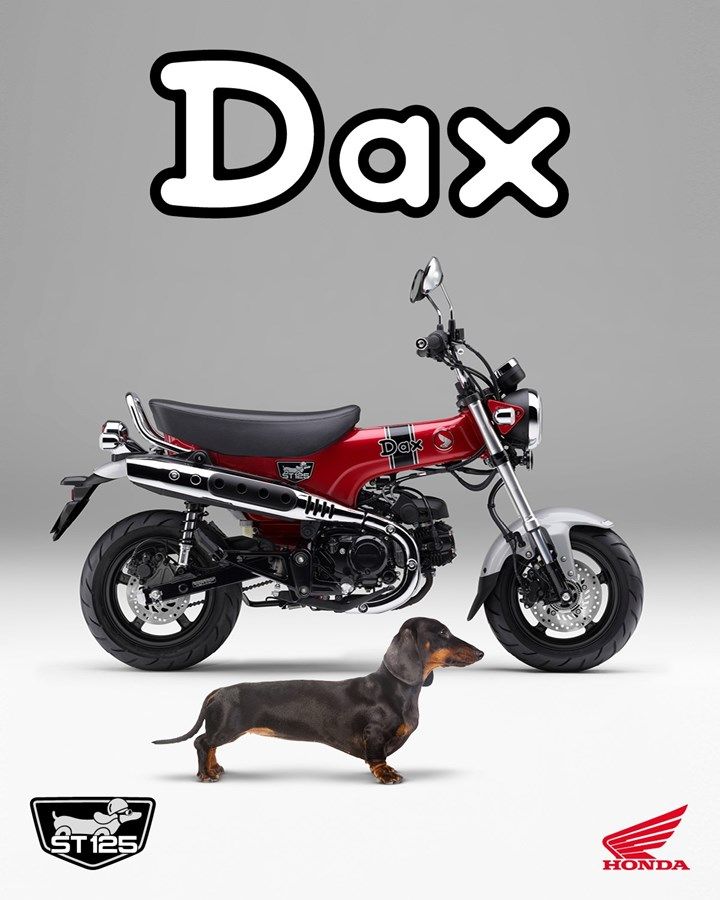 364516 23YM HONDA ST125 DAX
