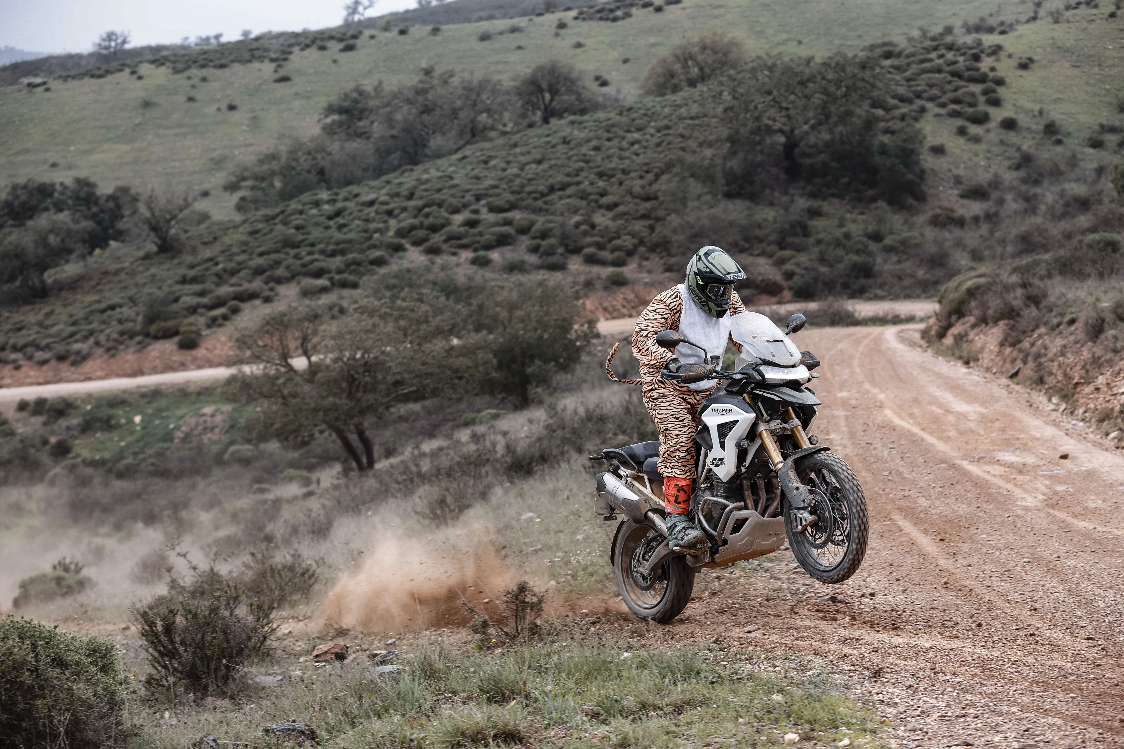  Triumph Tiger 1200 Rally Pro / Explorer 2022