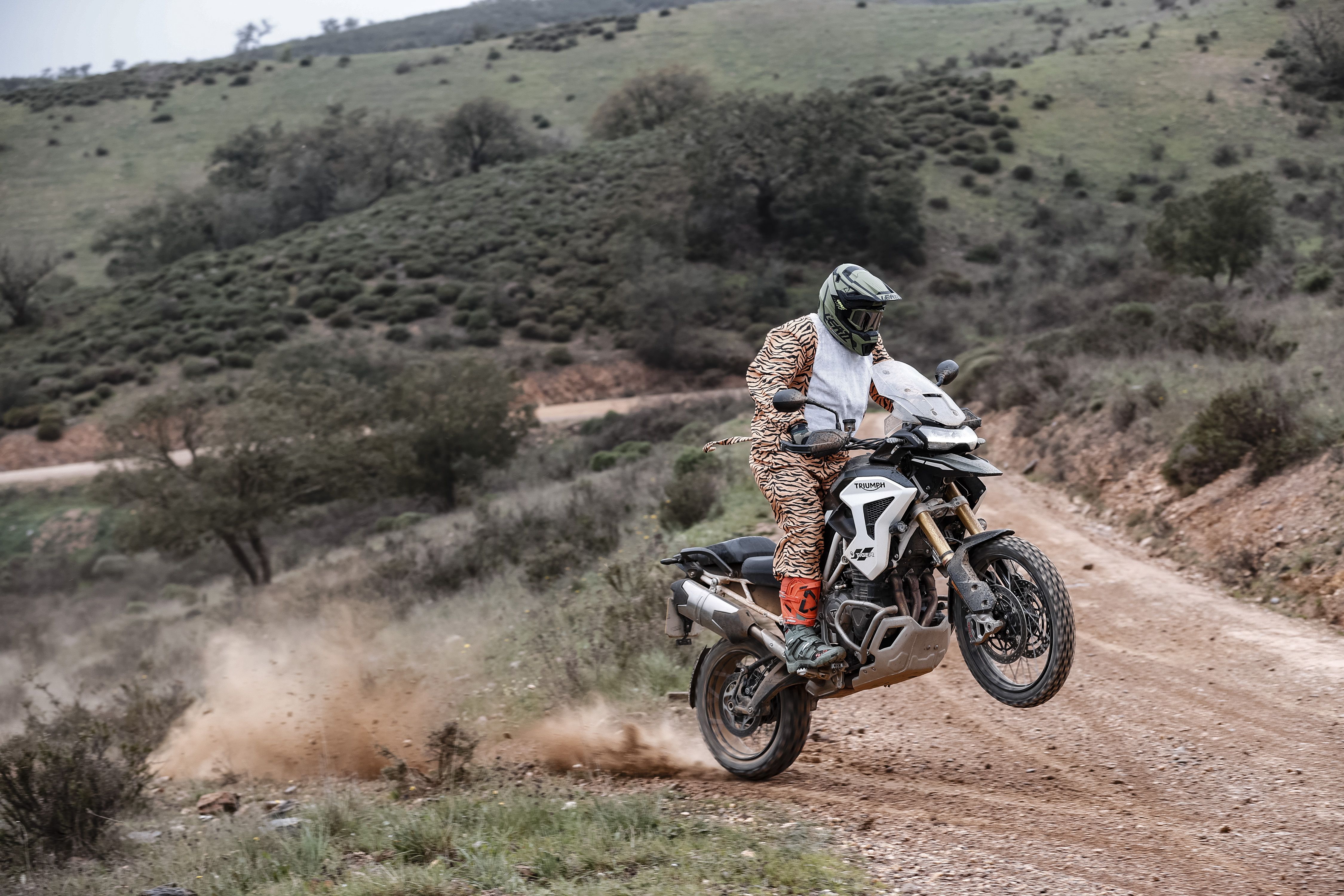  Triumph Tiger 1200 Rally Pro / Explorer 2022