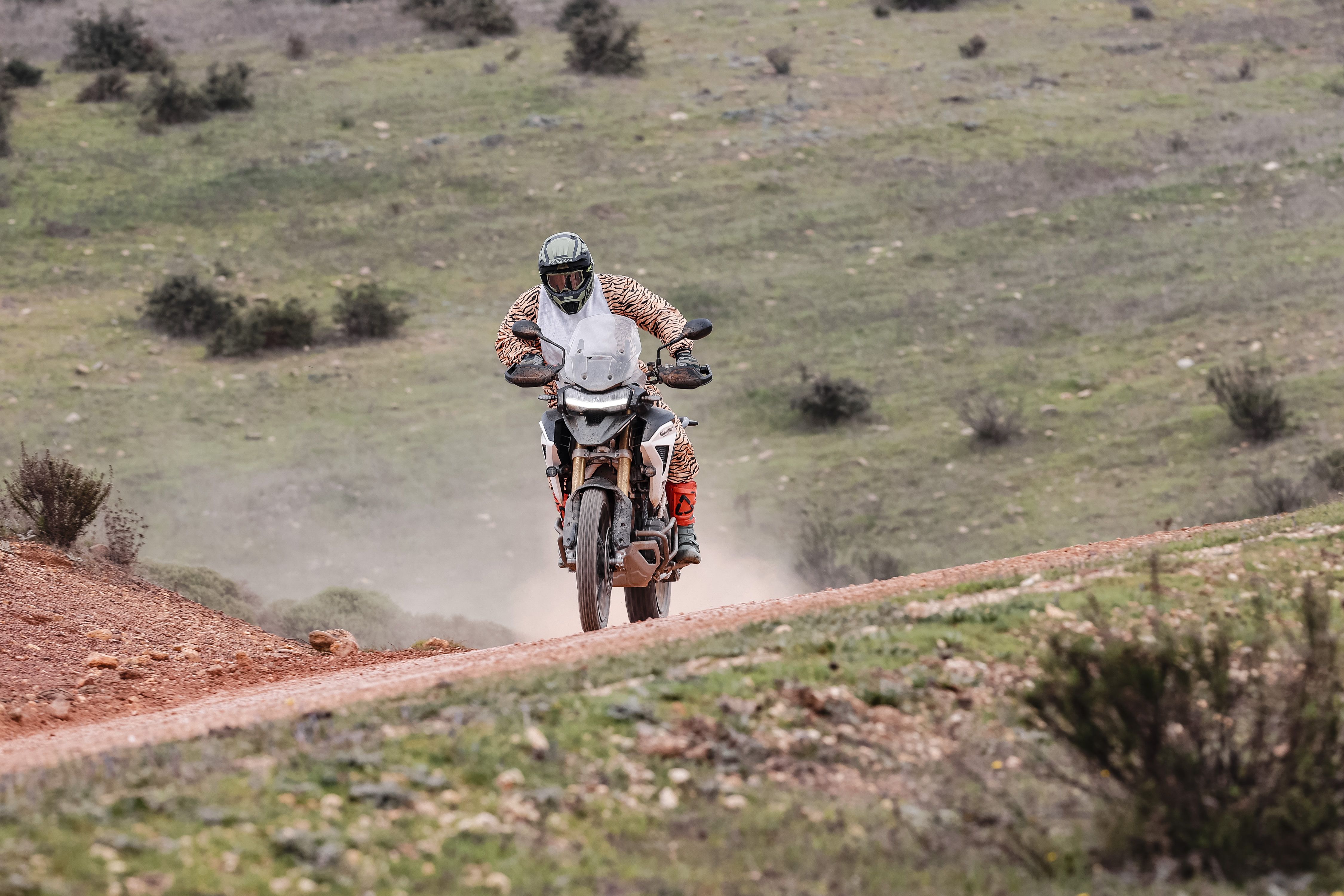 Triumph Tiger 1200 Rally Pro / Explorer 2022