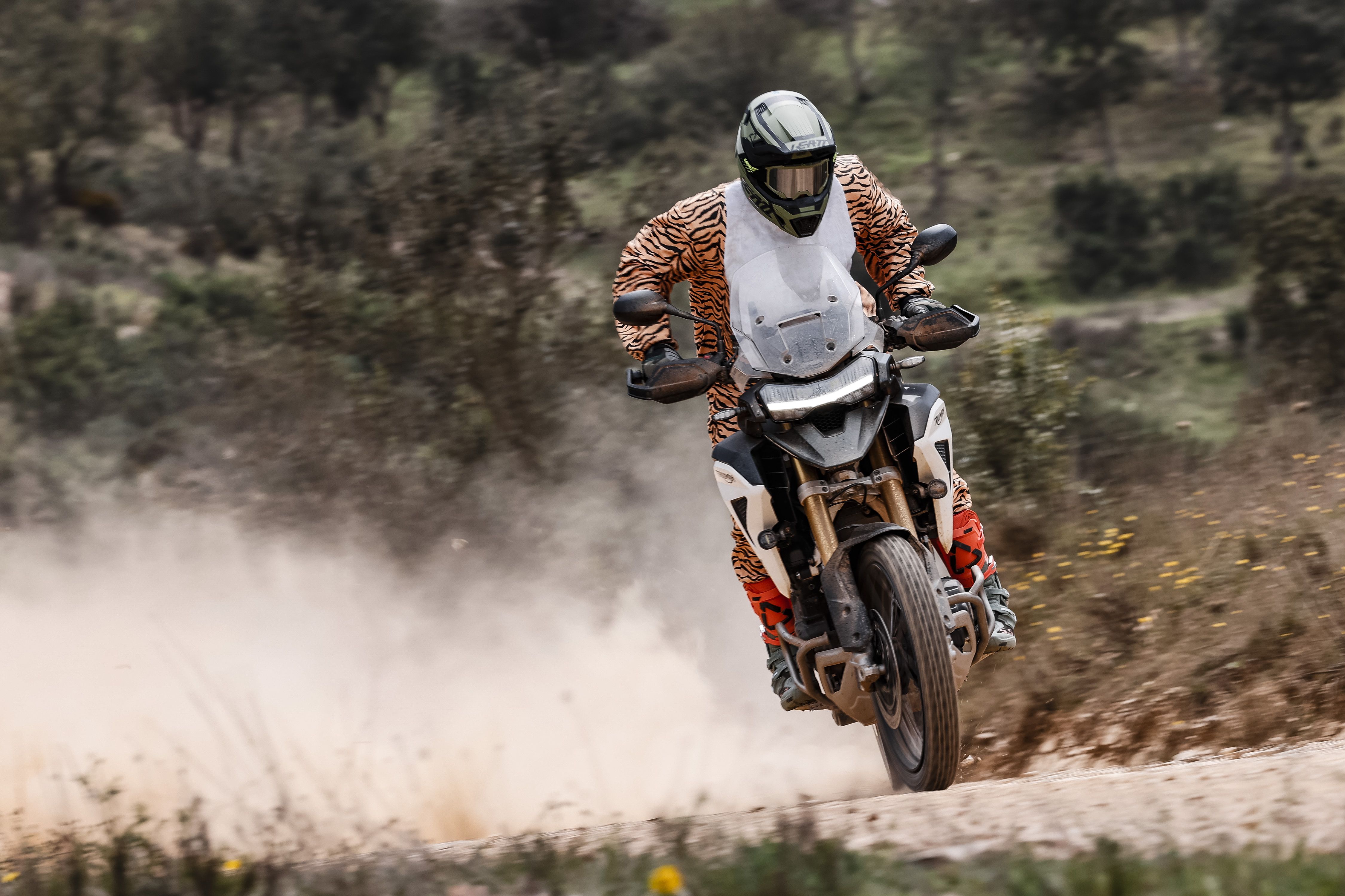 Triumph Tiger 1200 Rally Pro / Explorer 2022