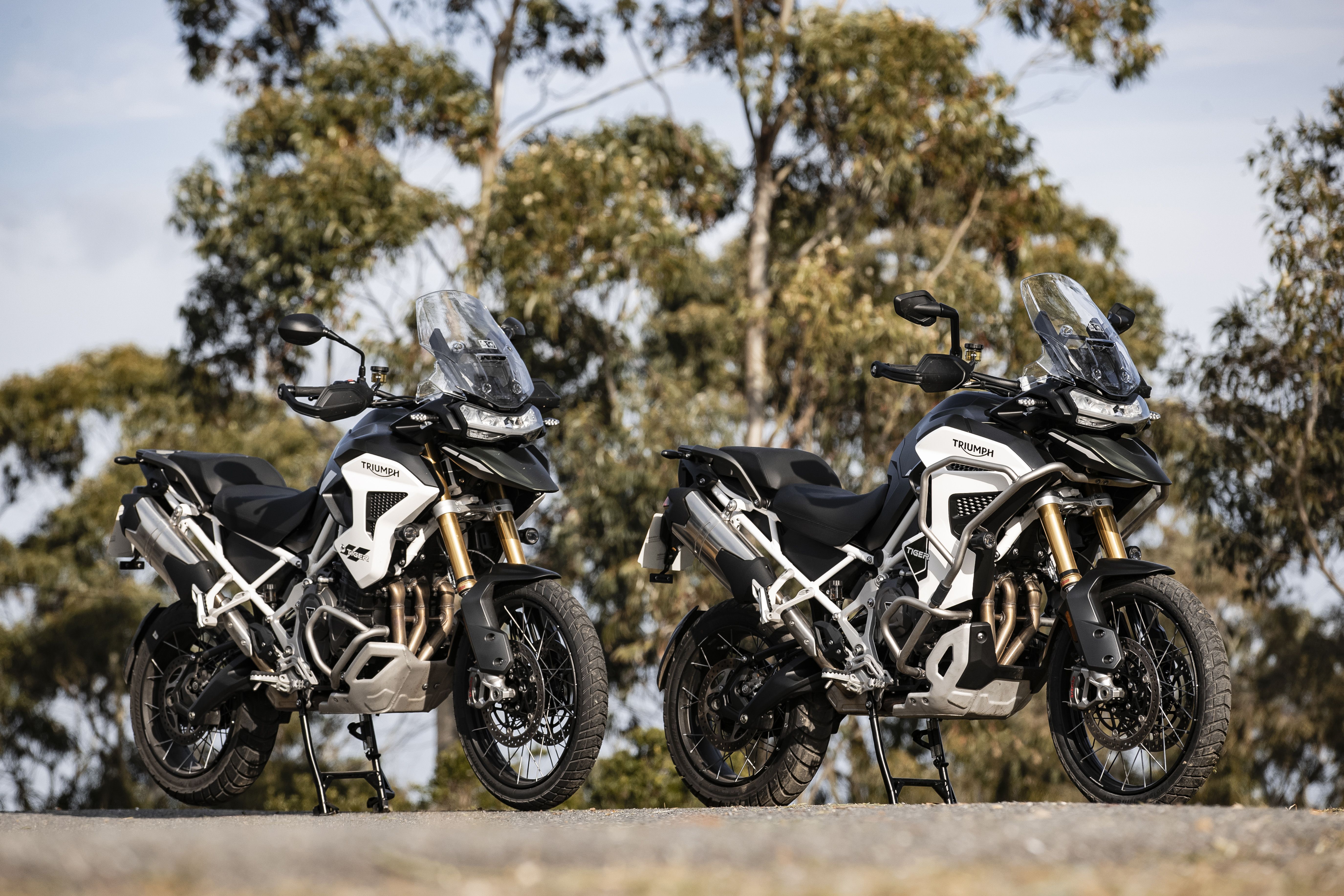 Triumph Tiger 1200 Rally Pro / Explorer 2022