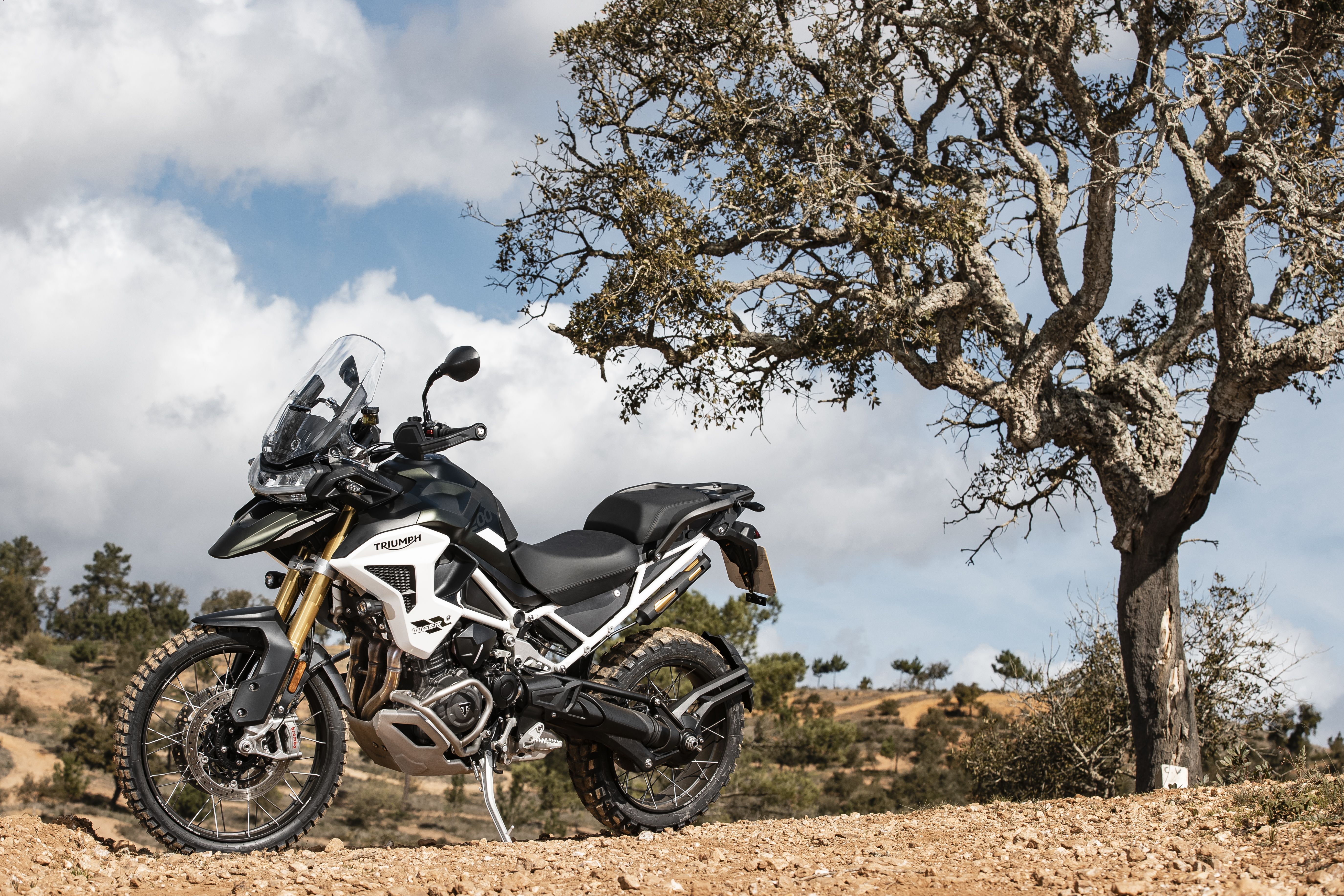 Triumph Tiger 1200 Rally Pro / Explorer 2022