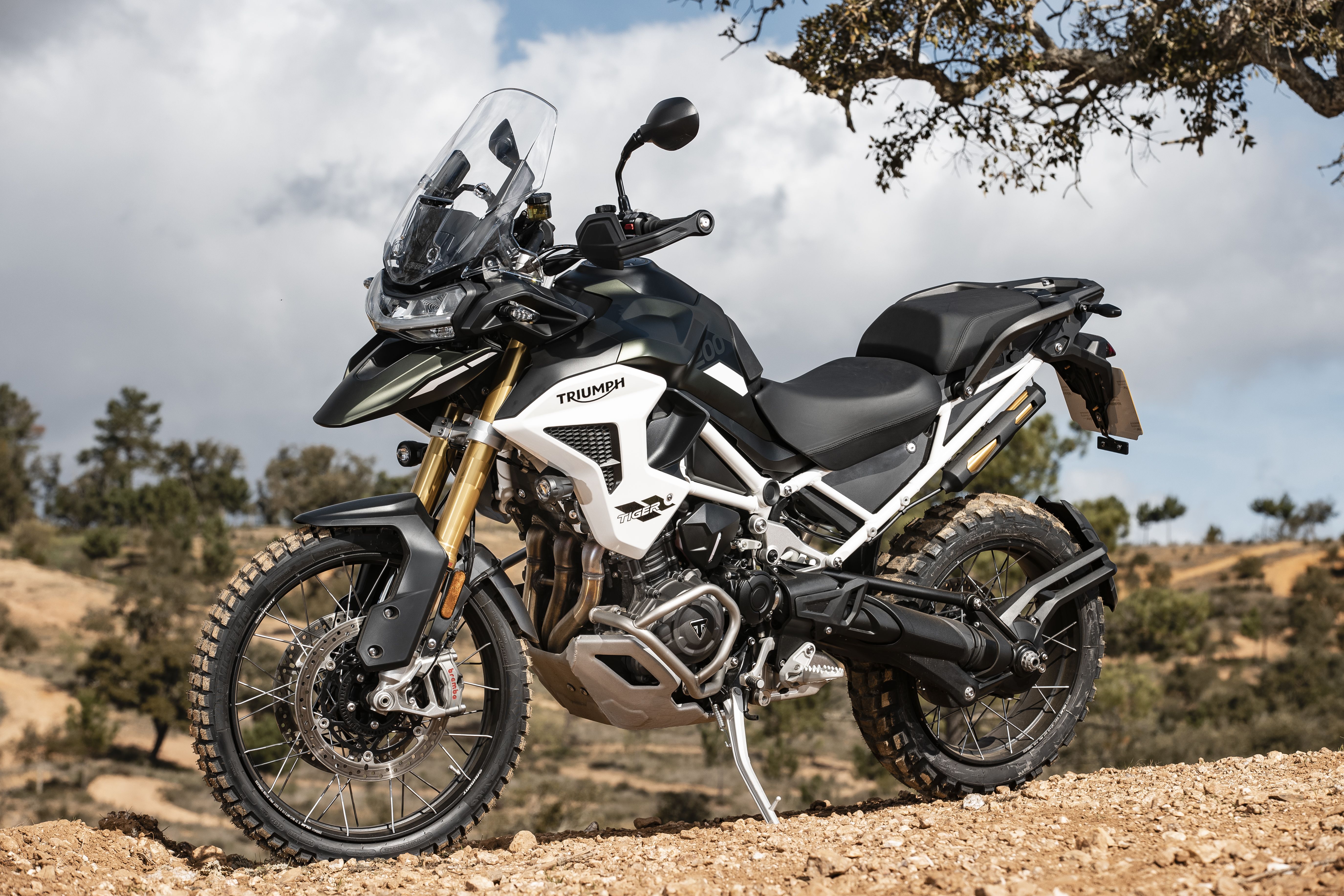 Triumph Tiger 1200 Rally Pro / Explorer 2022