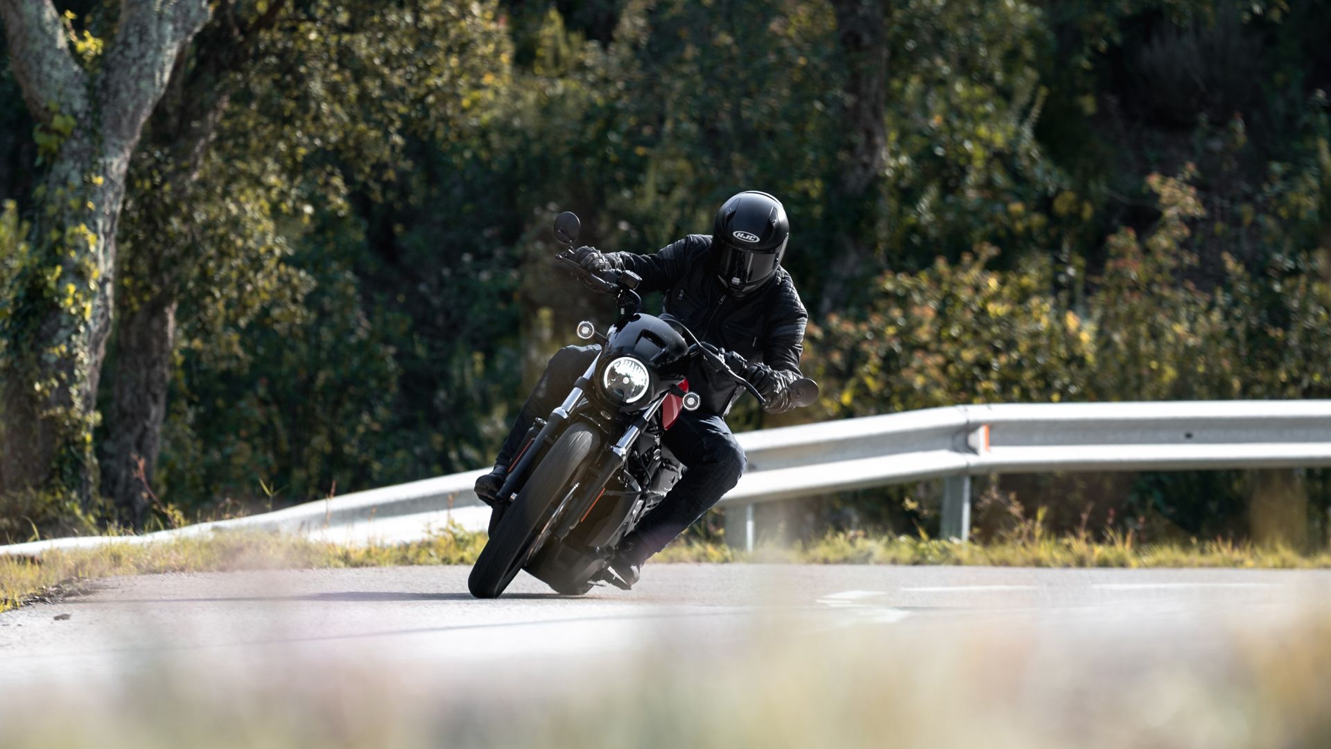 Harley Davidson Nightster Accion (6)