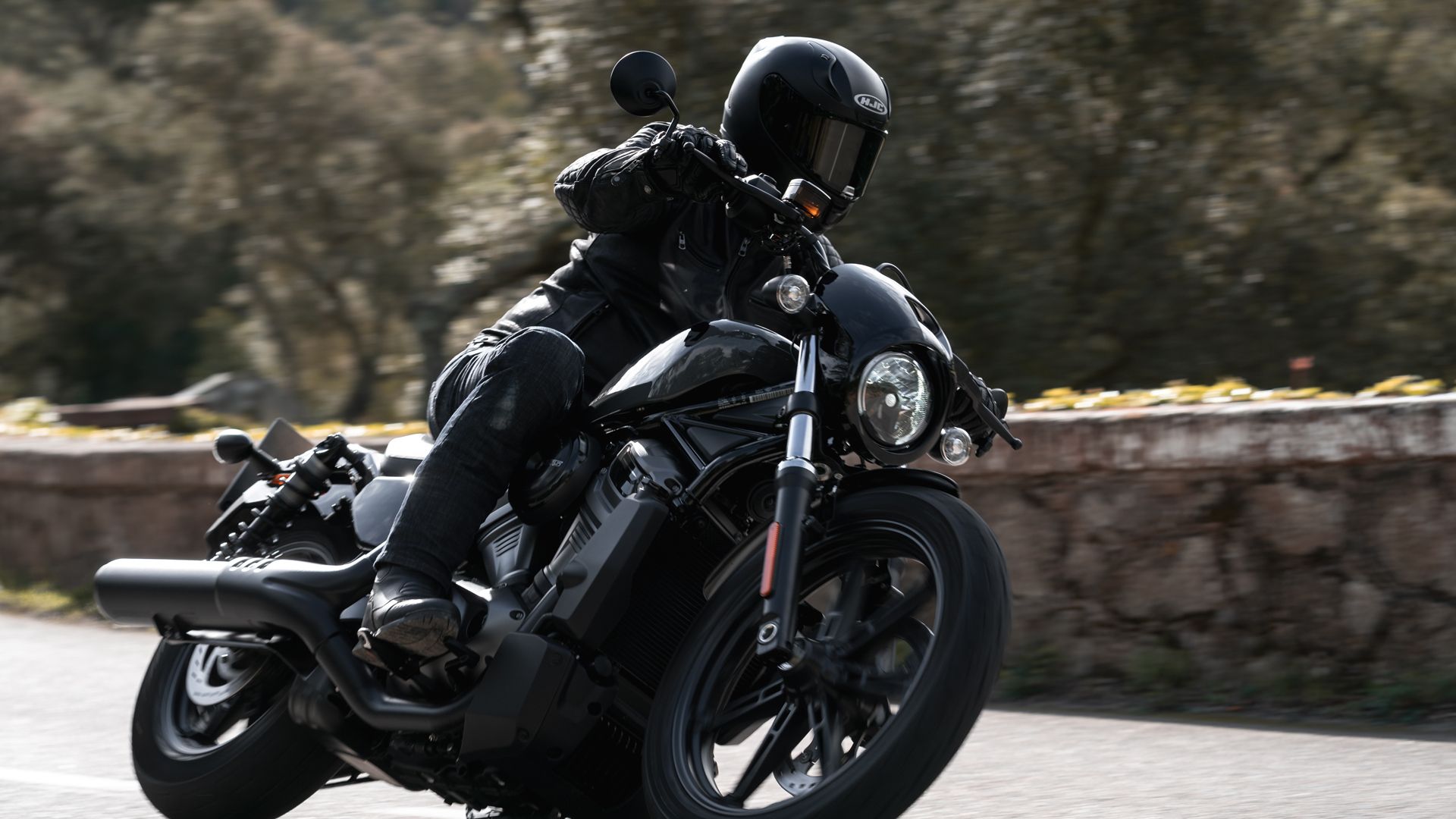 Harley Davidson Nightster Accion (22)