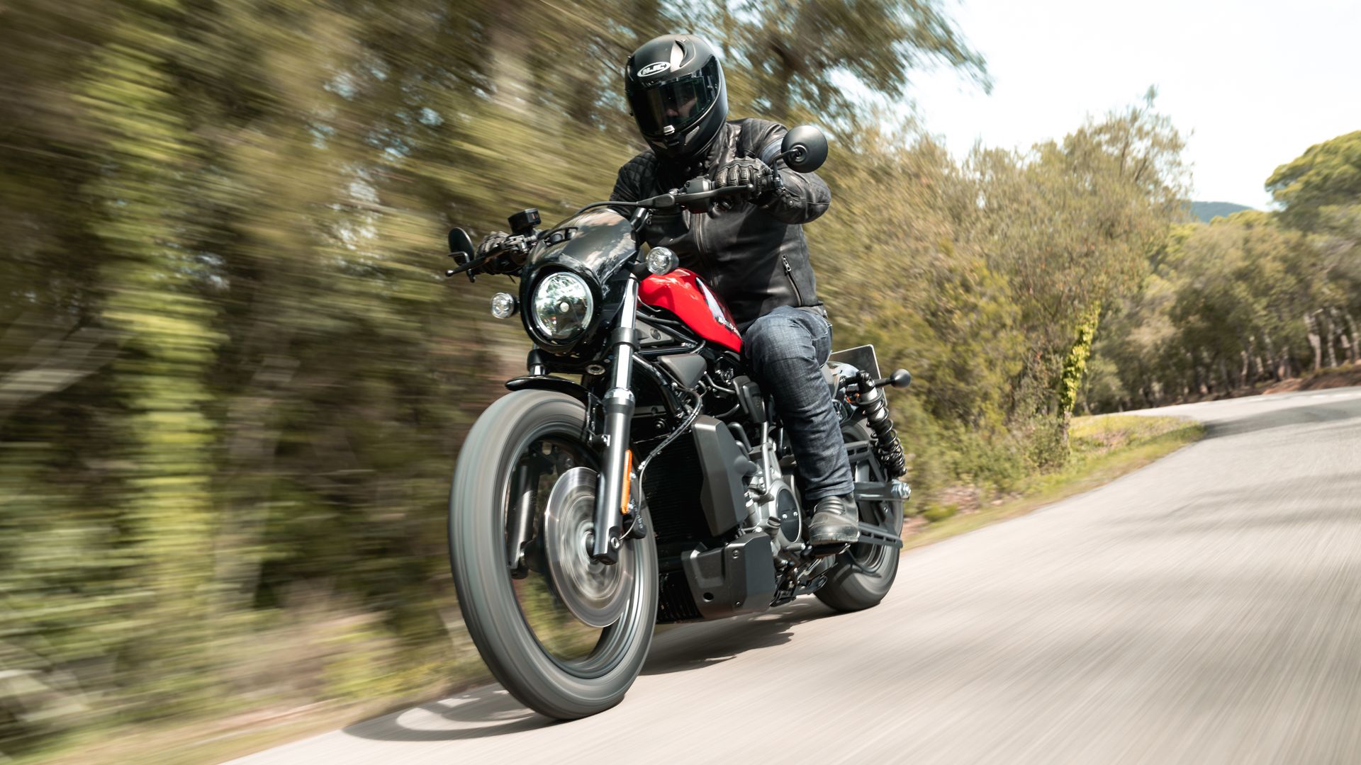 Harley Davidson Nightster Accion (28)