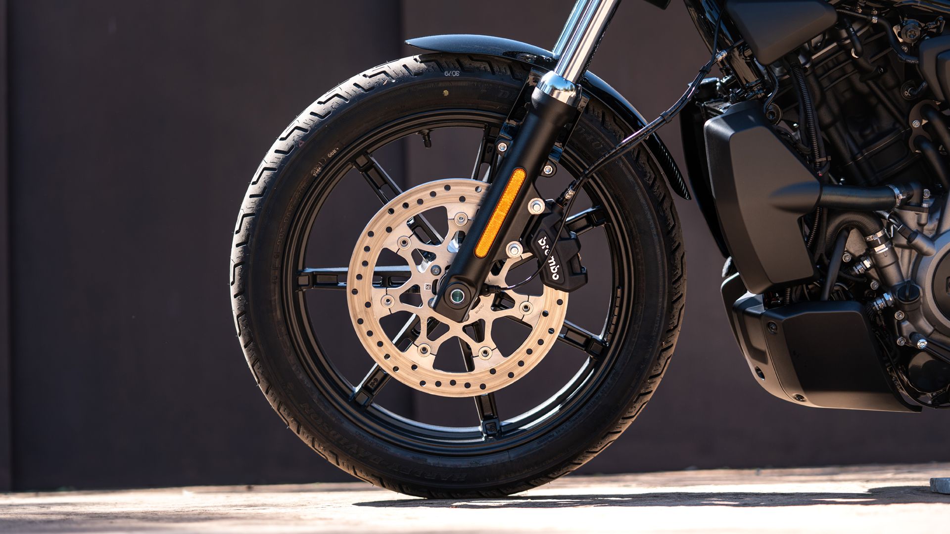 Harley Davidson Nightster Detalles (10)
