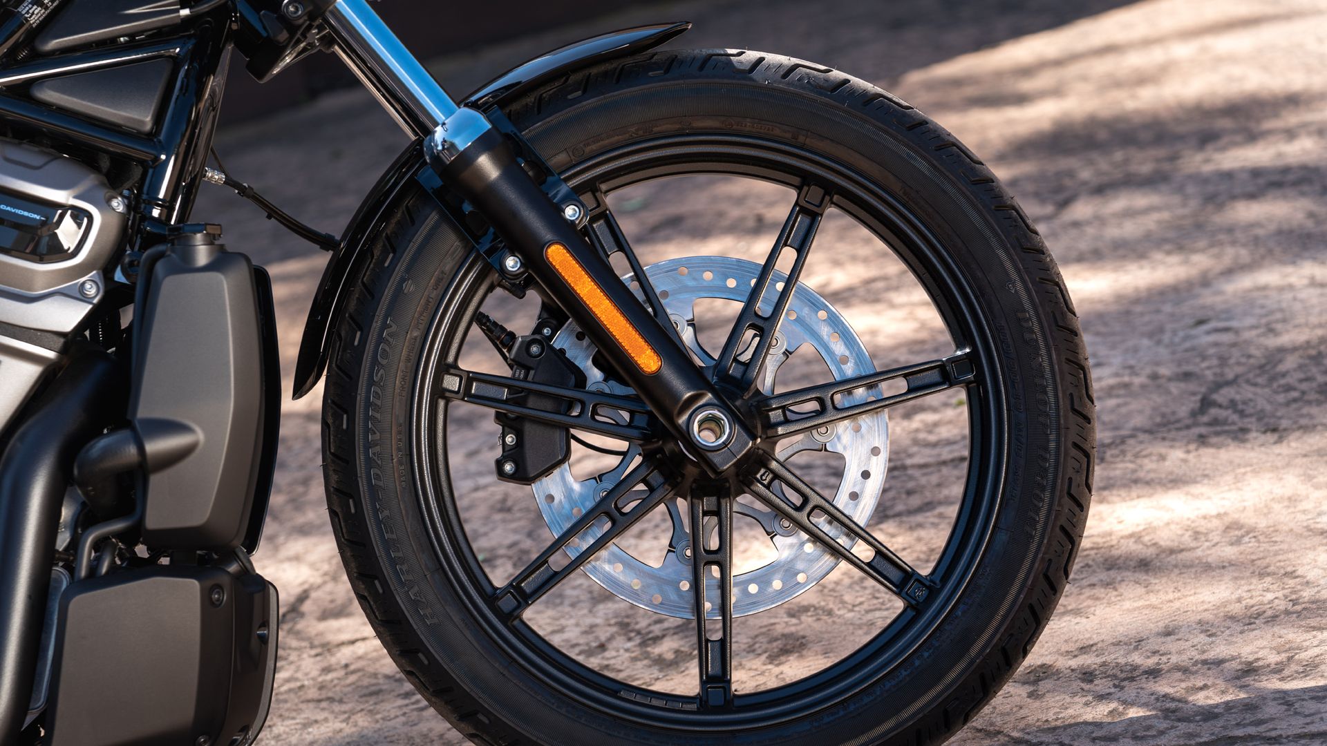 Harley Davidson Nightster Detalles (15)