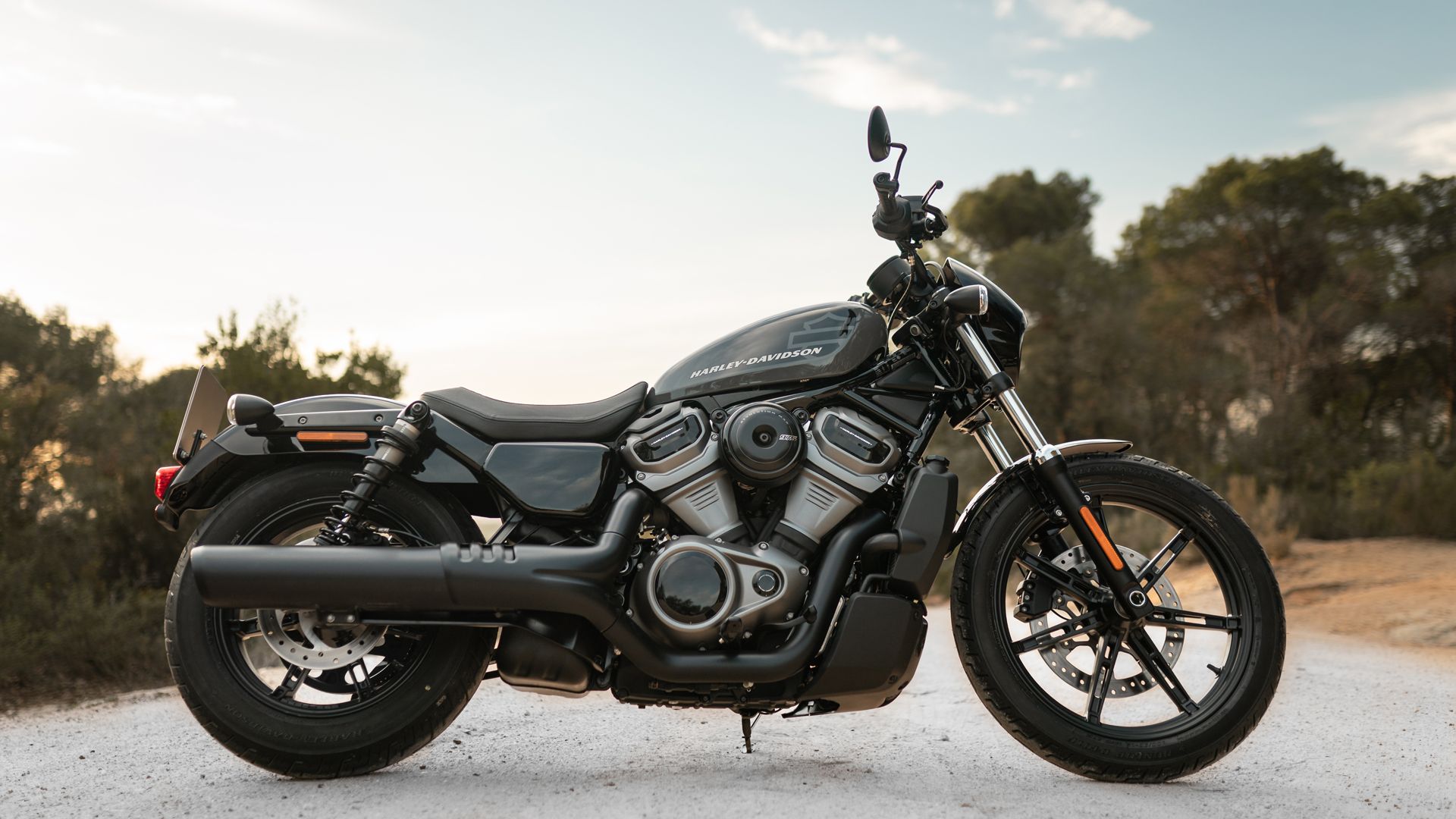 Harley Davidson Nightster Estatica (2)