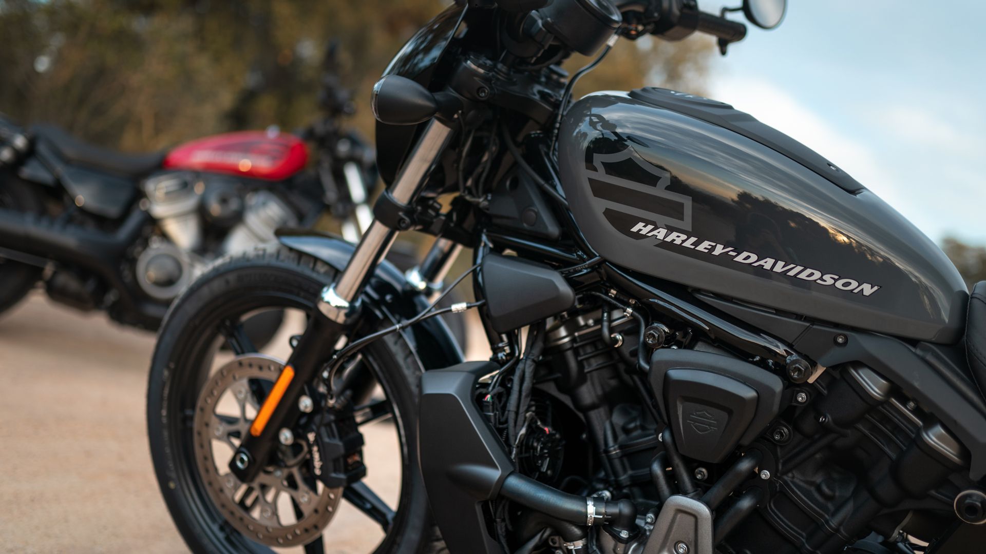 Harley Davidson Nightster Estatica (4)