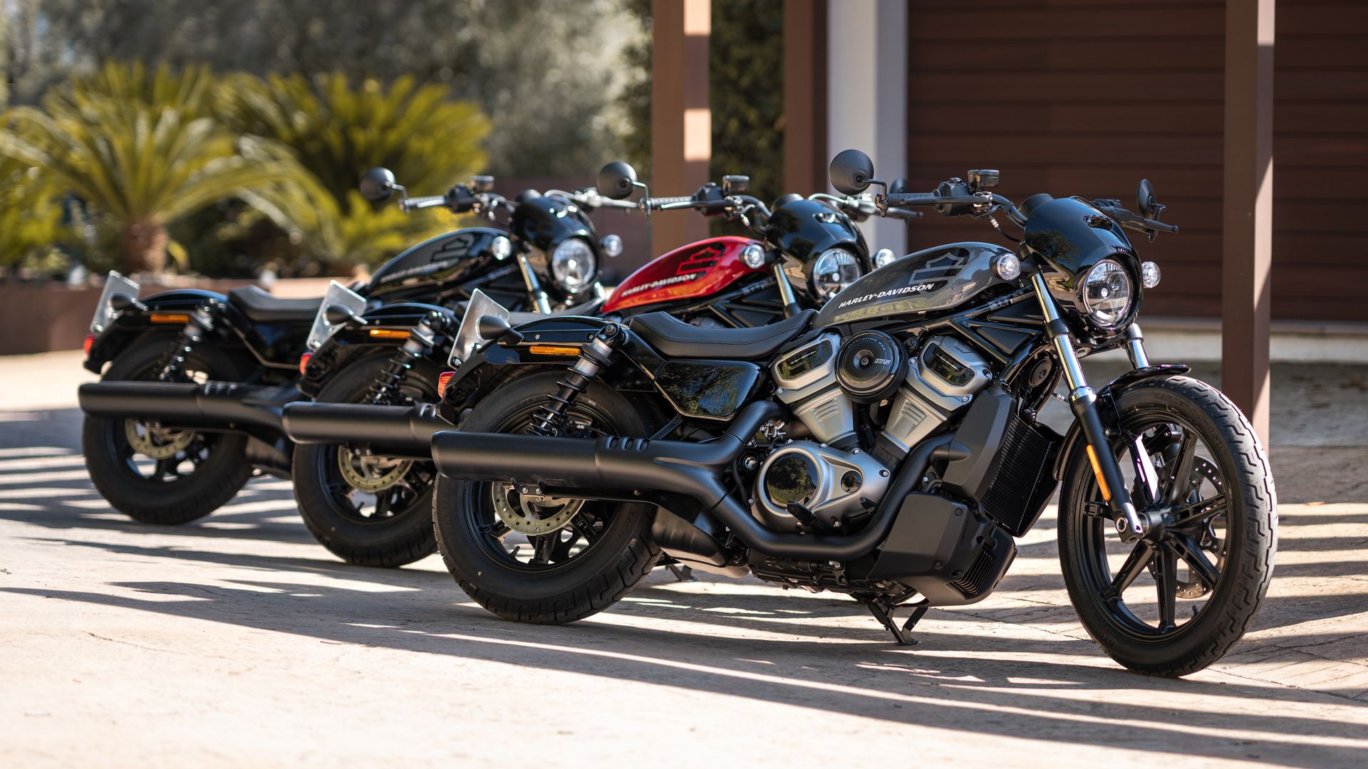 Harley Davidson Nightster Estatica (10)