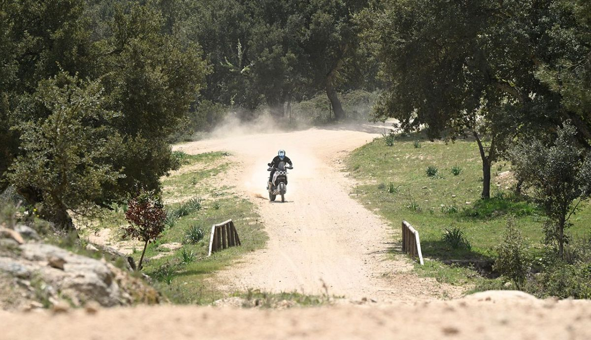 Ducati Desertx 6 Ducati Desertx 6