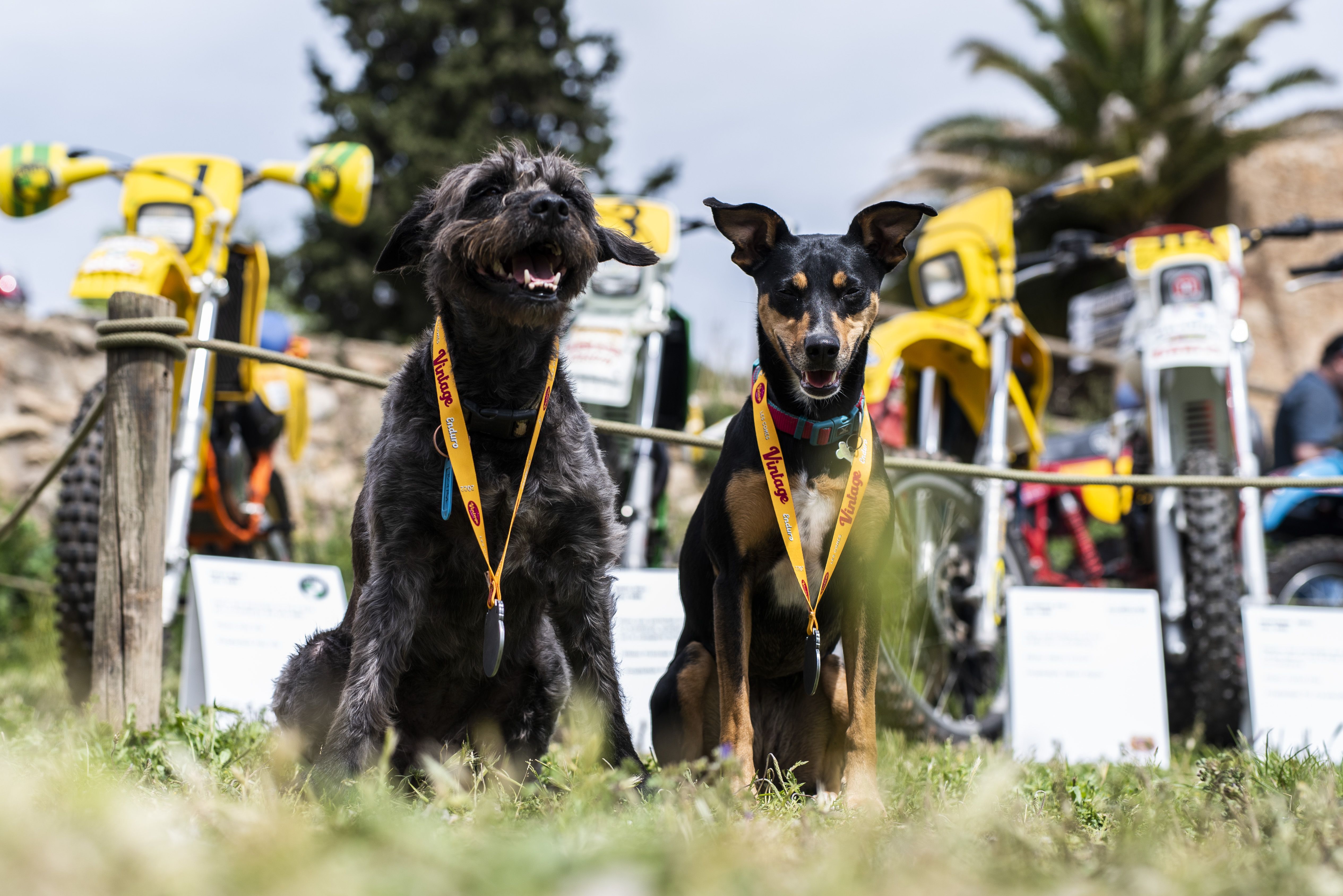  Les Comes Vintage Enduro 2022