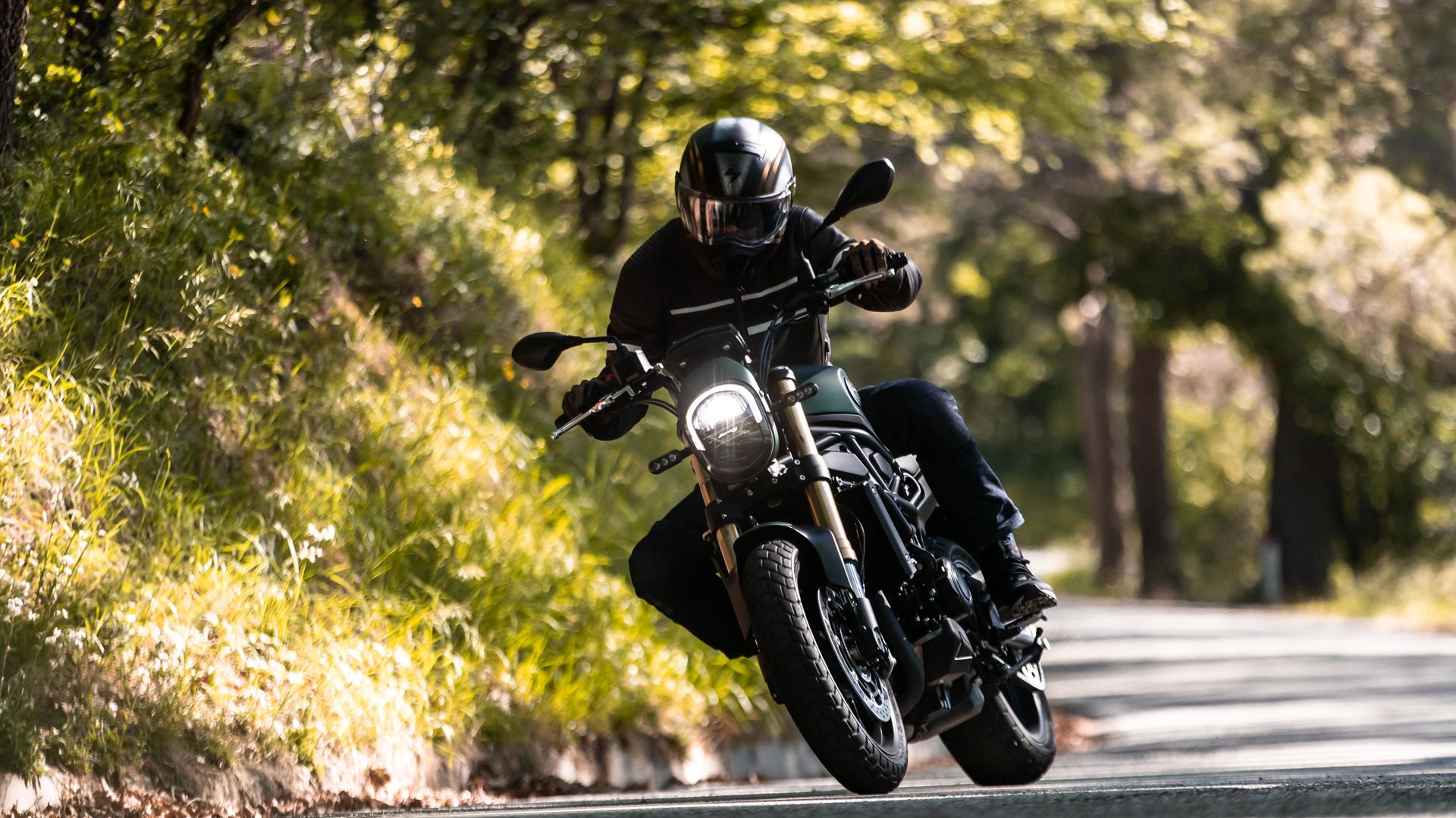 Benelli Leoncino ES 2022 Accion (13)
