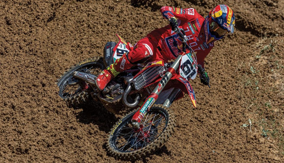 Jorge Prado (2) Jorge Prado (2)