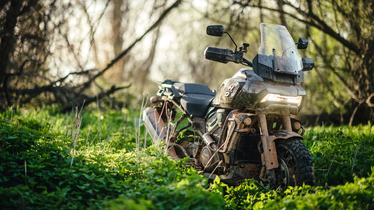Harley Davidson 1250 Pan America prueba off road (11)