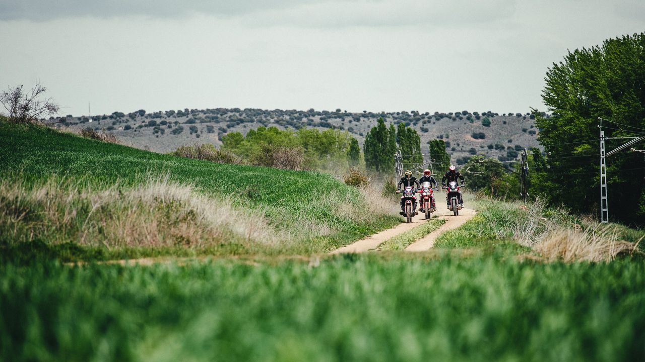 Ruta trail Impala-Towca 2022