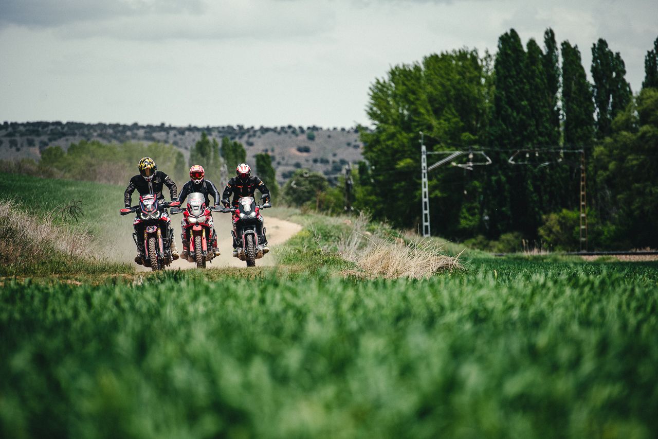 Ruta trail Impala-Towca 2022