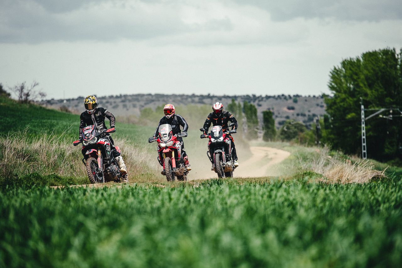 Ruta trail Impala-Towca 2022