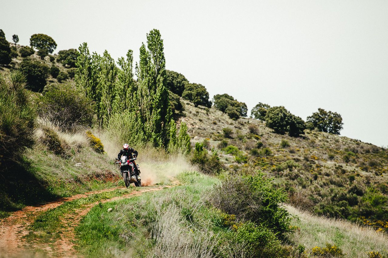 Ruta trail Impala-Towca 2022