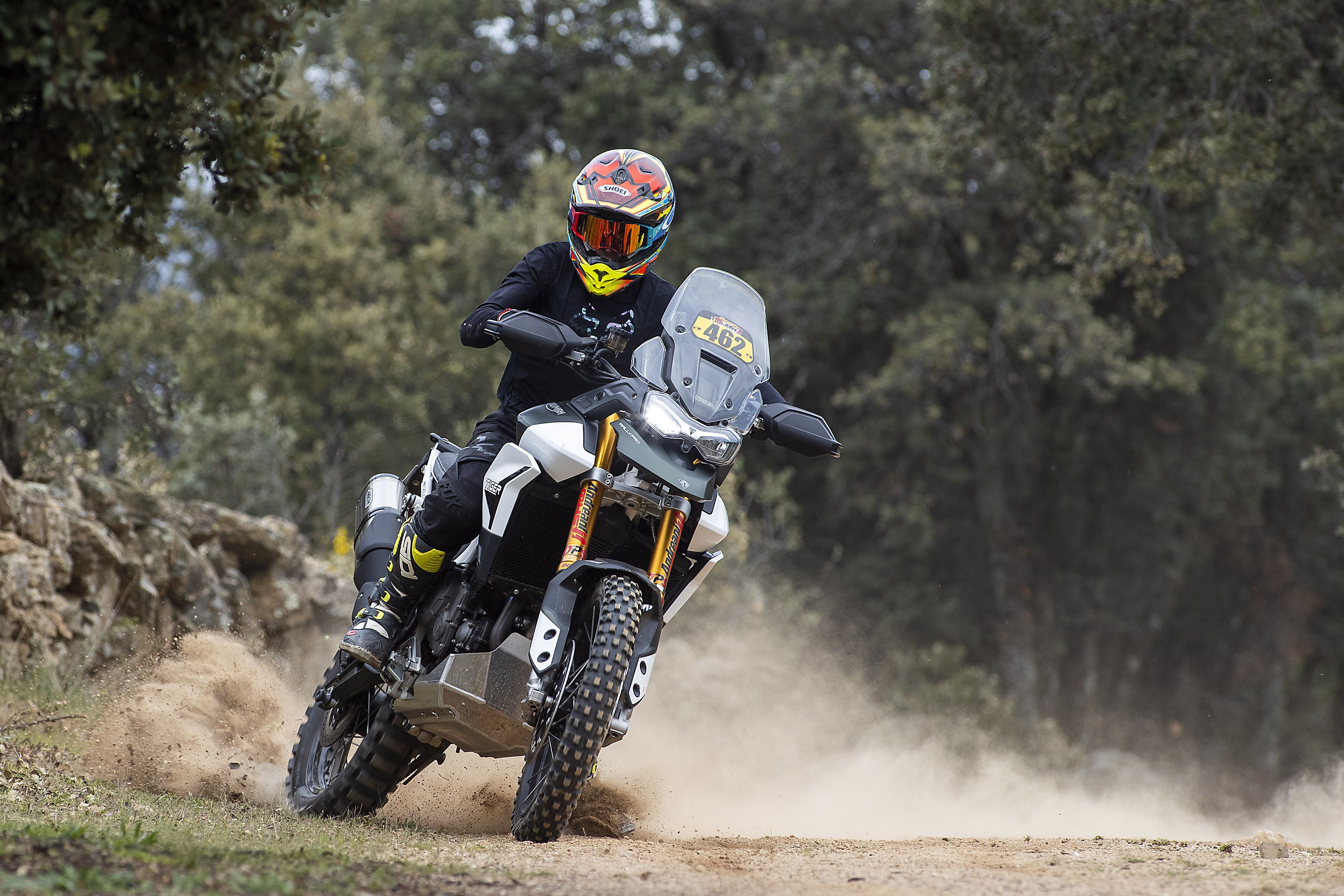 Triumph Tiger 900 Rally Pro Iván Cervantes
