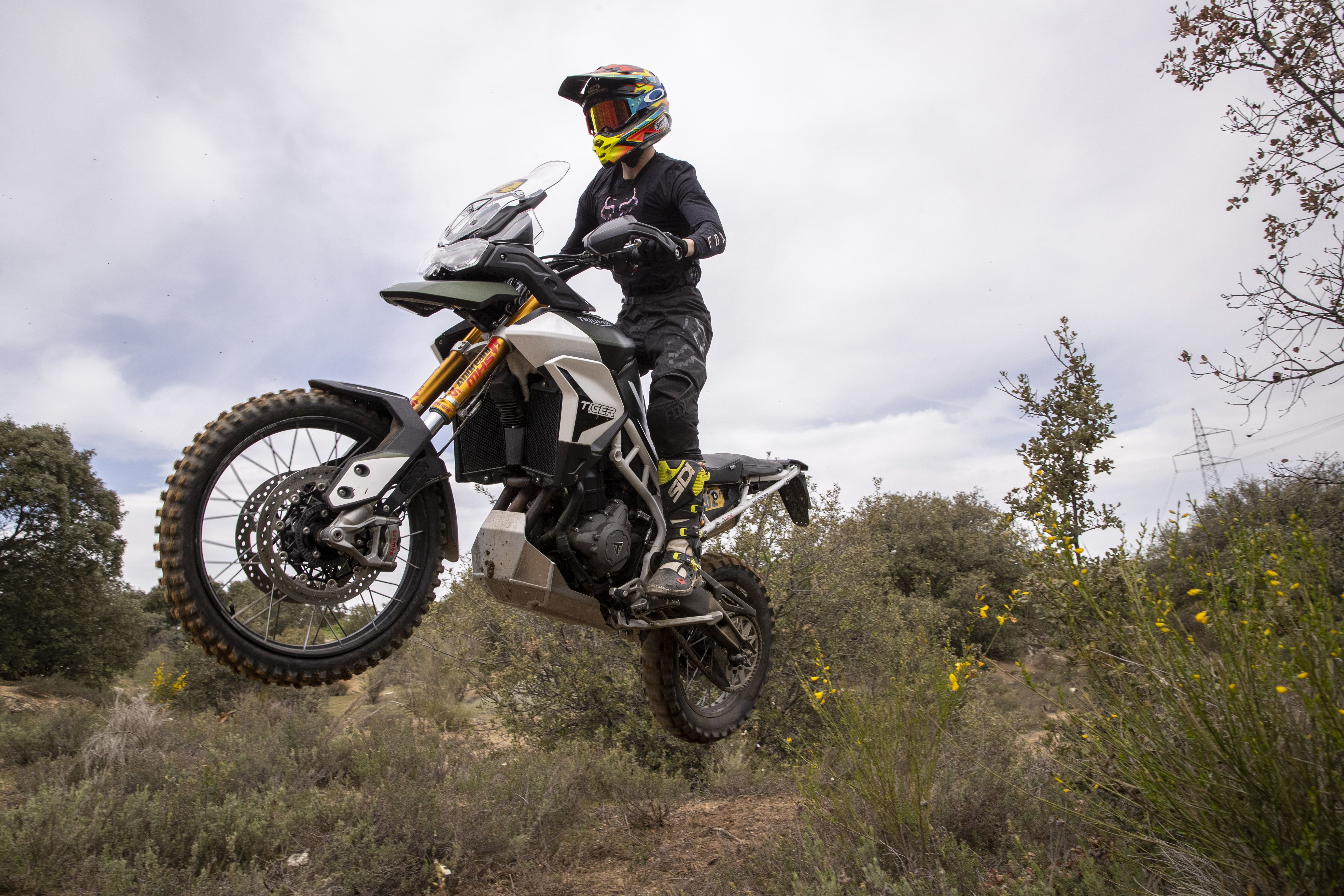 Triumph Tiger 900 Rally Pro Iván Cervantes