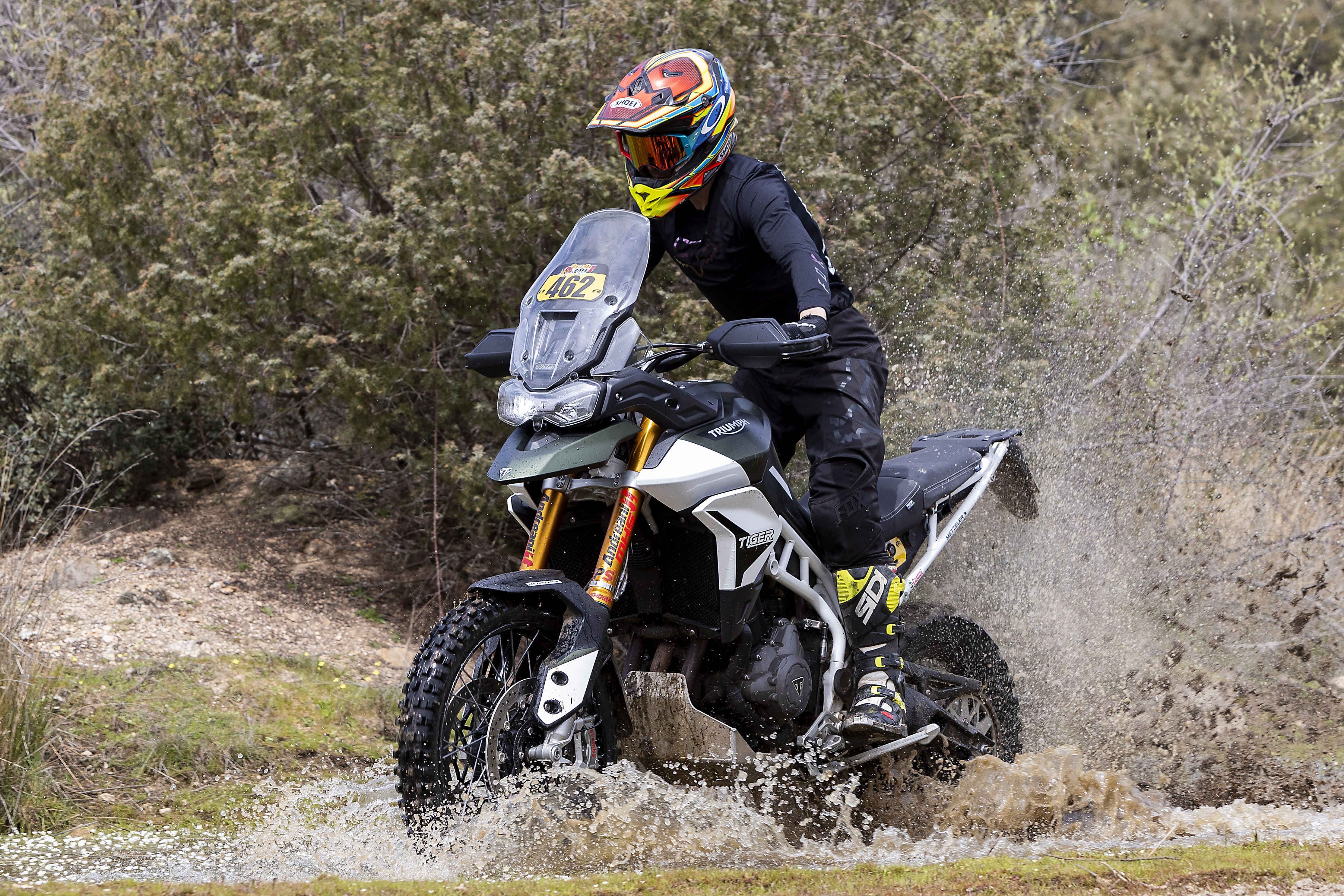 Triumph Tiger 900 Rally Pro Iván Cervantes