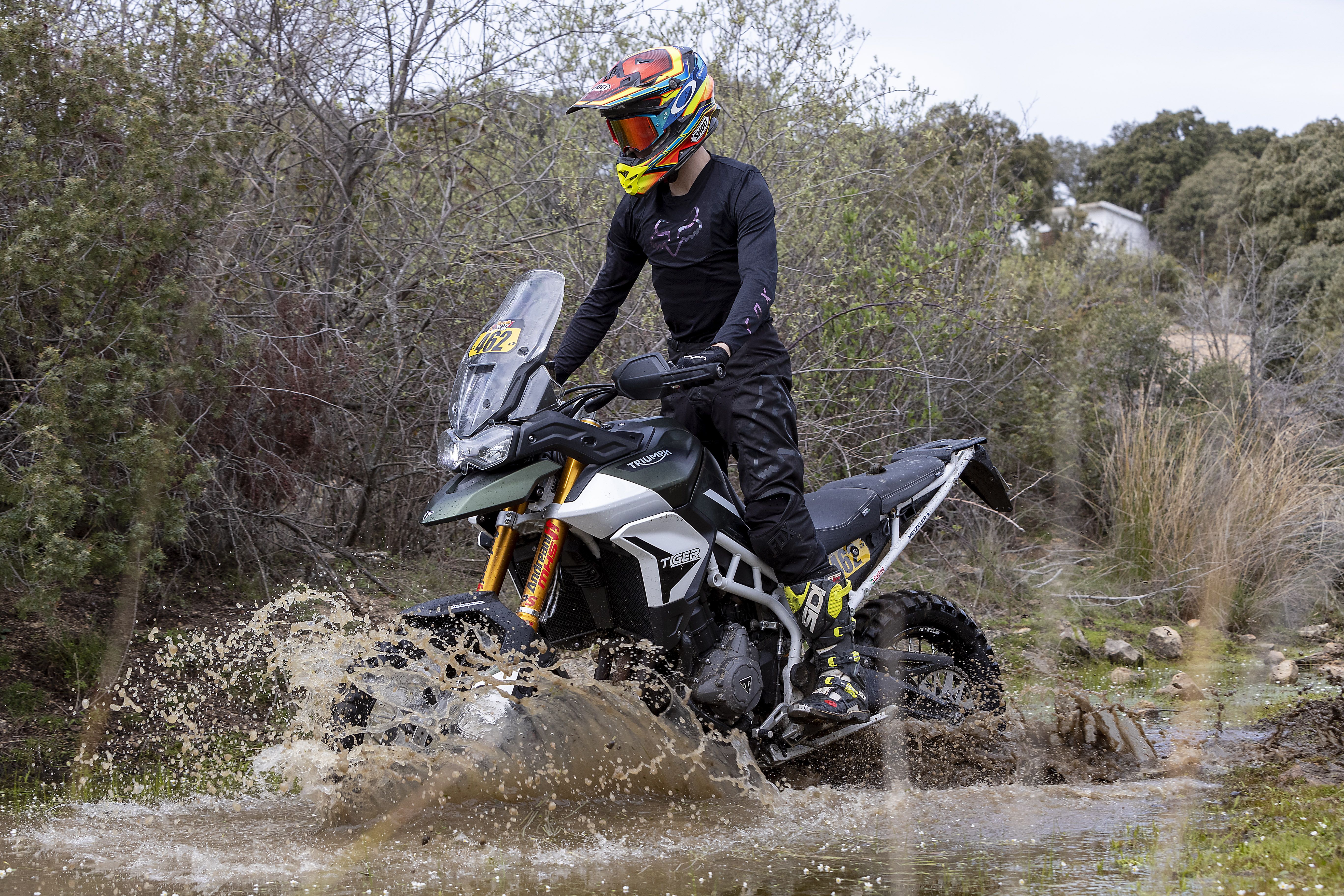 Triumph Tiger 900 Rally Pro Iván Cervantes