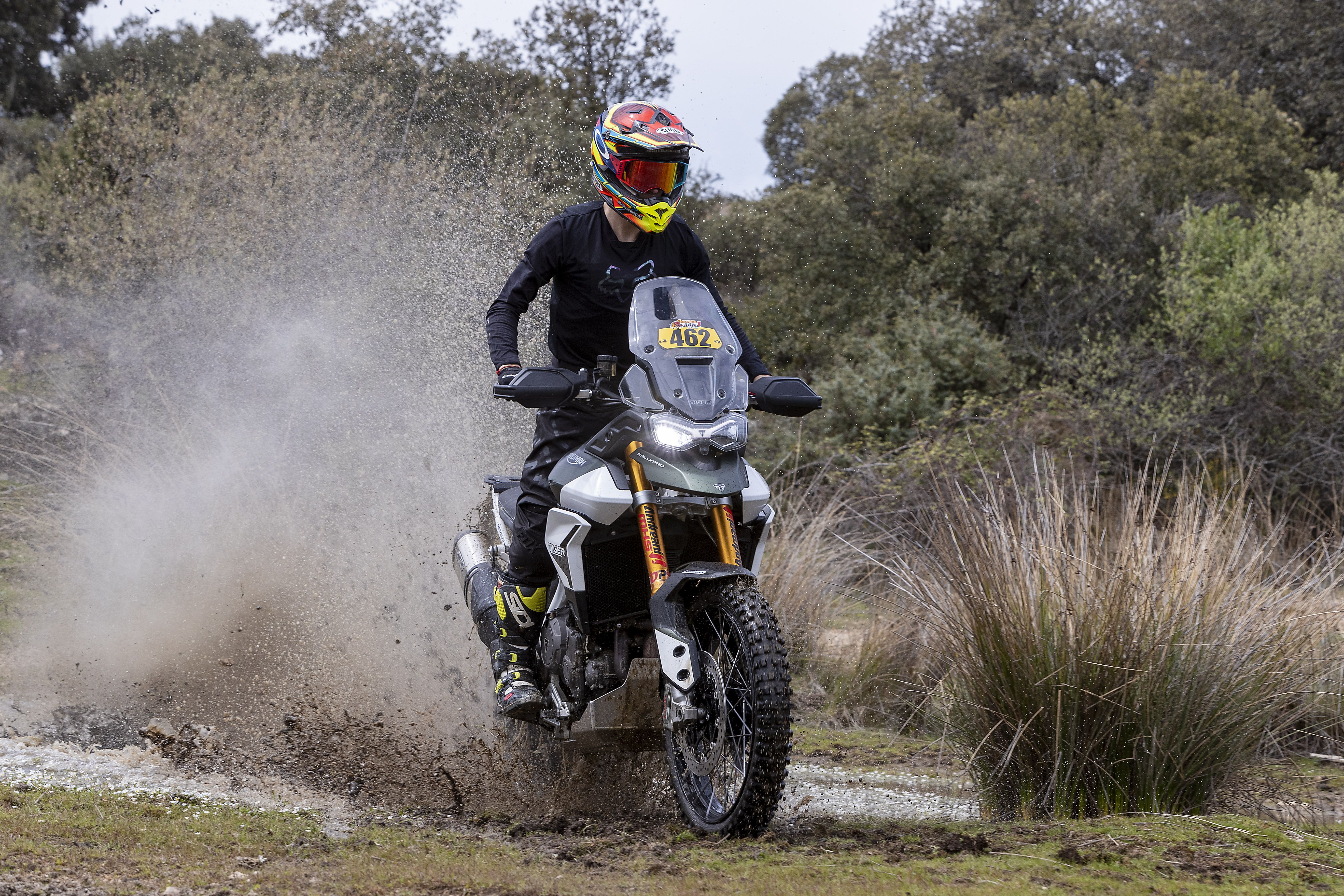Triumph Tiger 900 Rally Pro Iván Cervantes