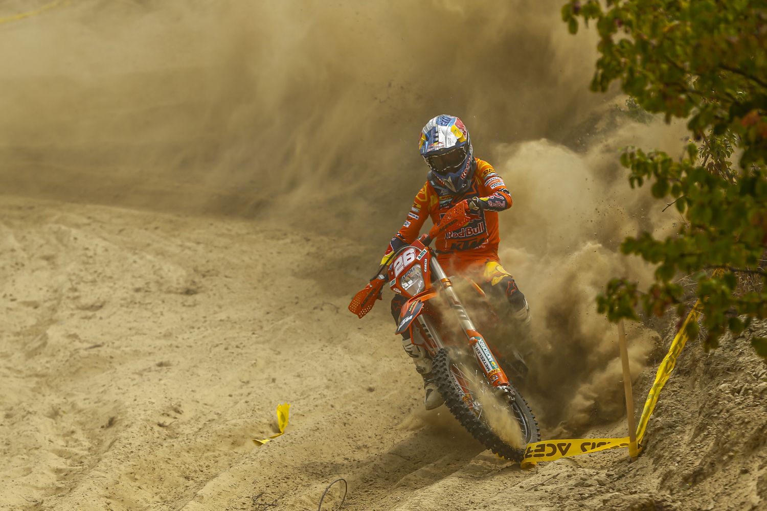 josep garcia 08