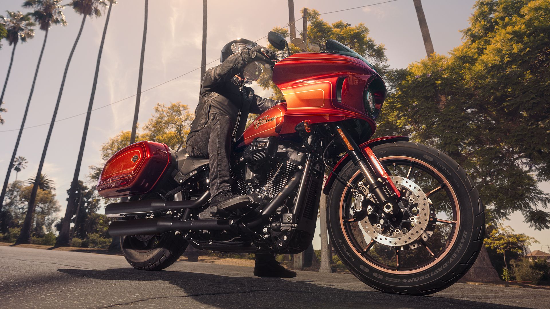 Harley Davidson Softail Low Rider El Diablo 2022 (15)