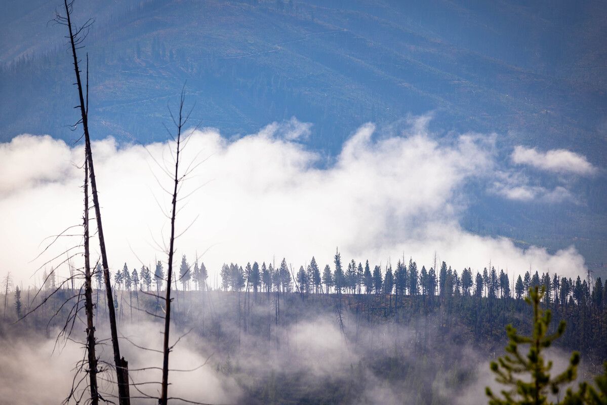 Fotos KTM Adventure Rider Rally 2022 Tamarack