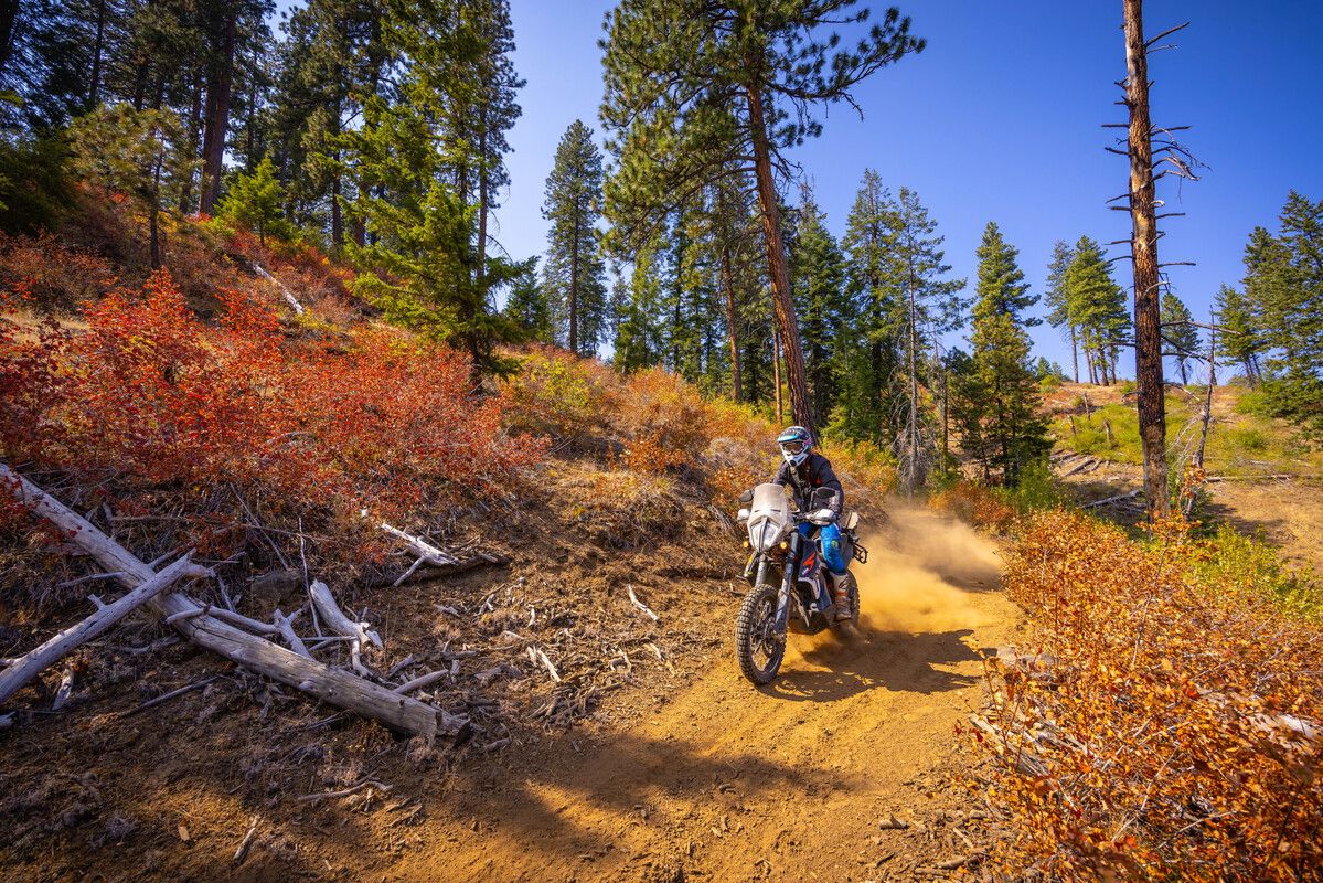 Fotos KTM Adventure Rider Rally 2022 Tamarack