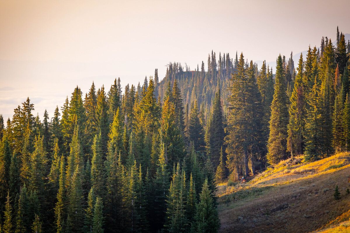 Fotos KTM Adventure Rider Rally 2022 Tamarack